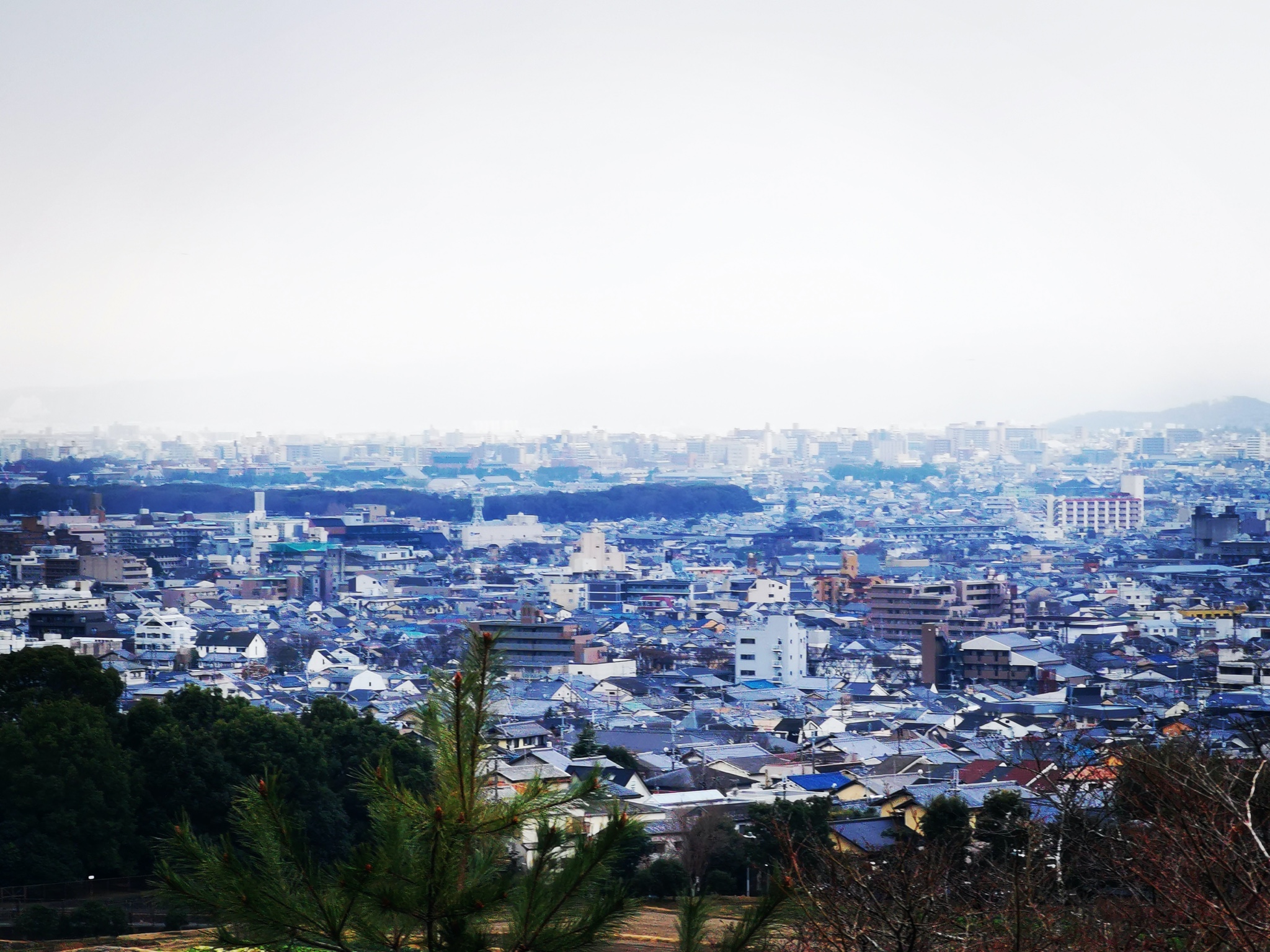 京都自助遊攻略