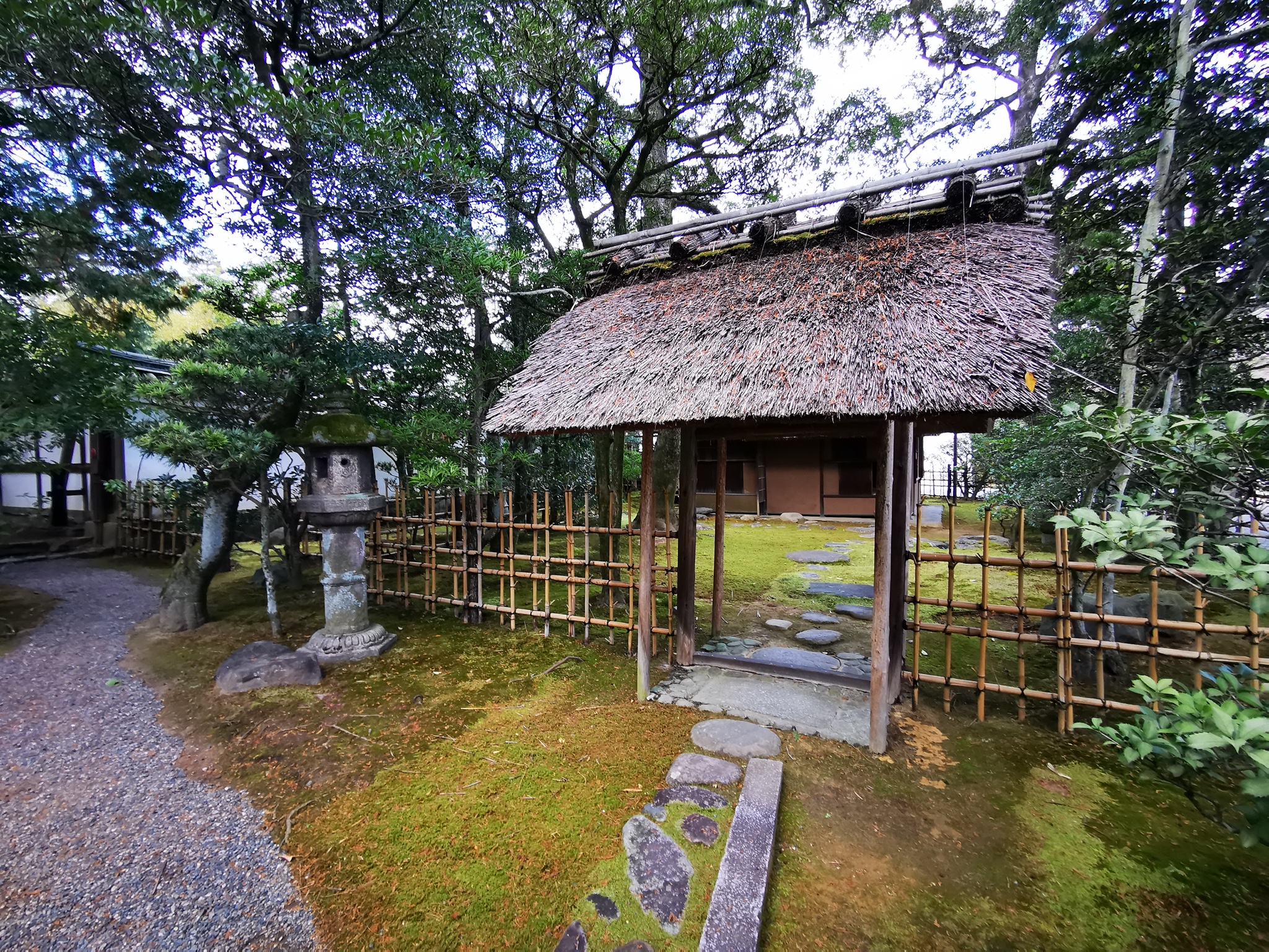 京都自助遊攻略