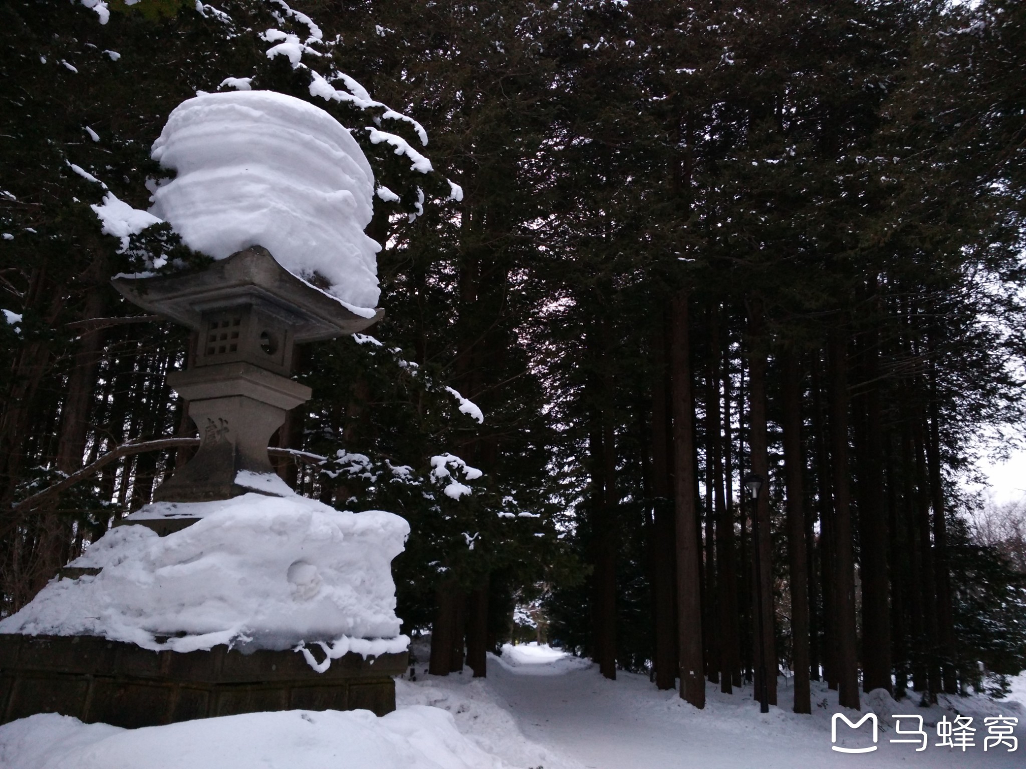 北海道自助遊攻略