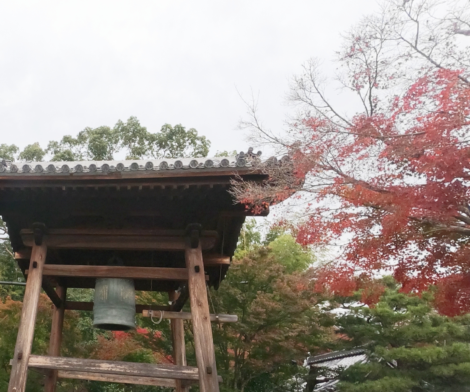 京都自助遊攻略