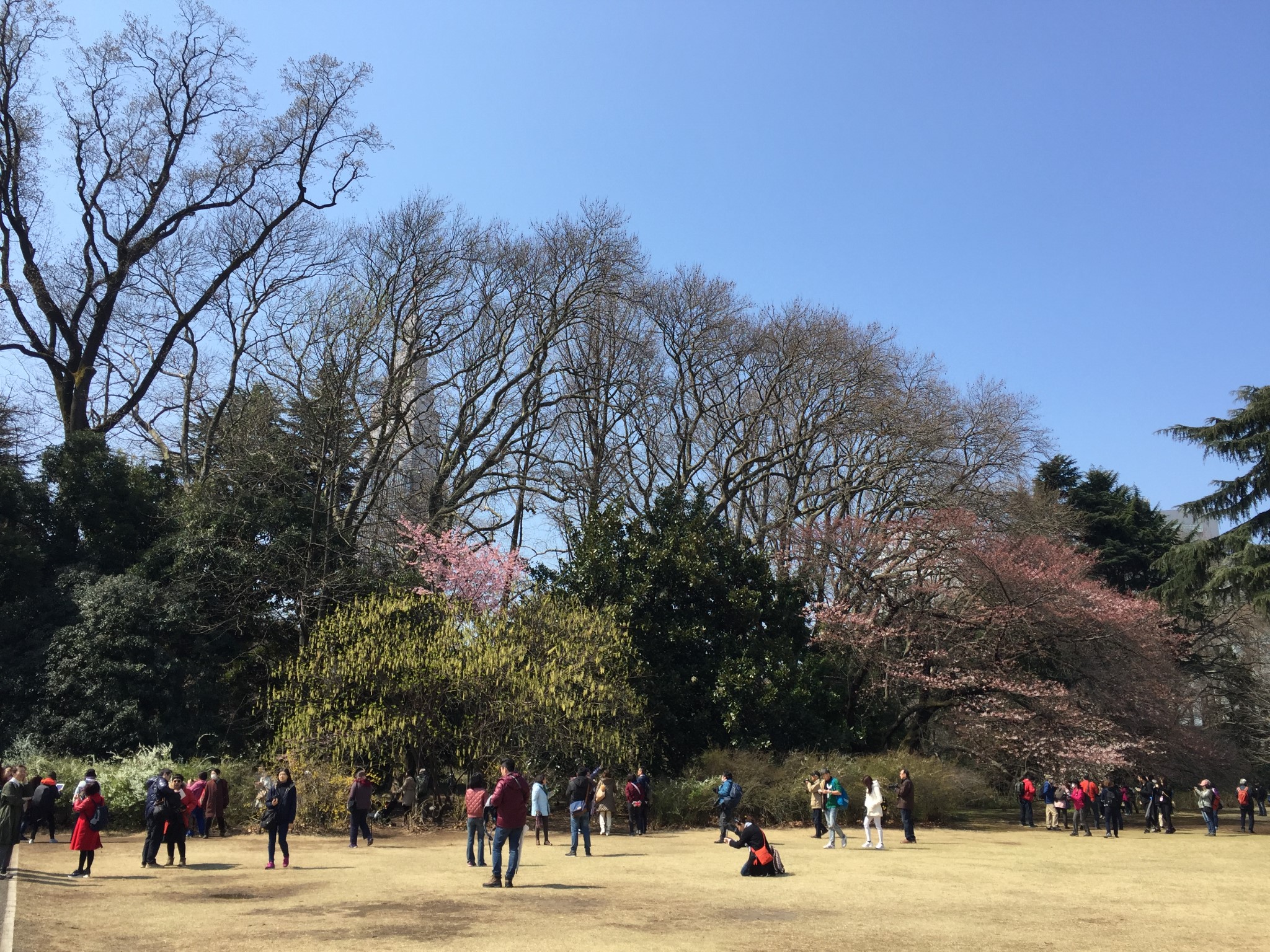 東京自助遊攻略