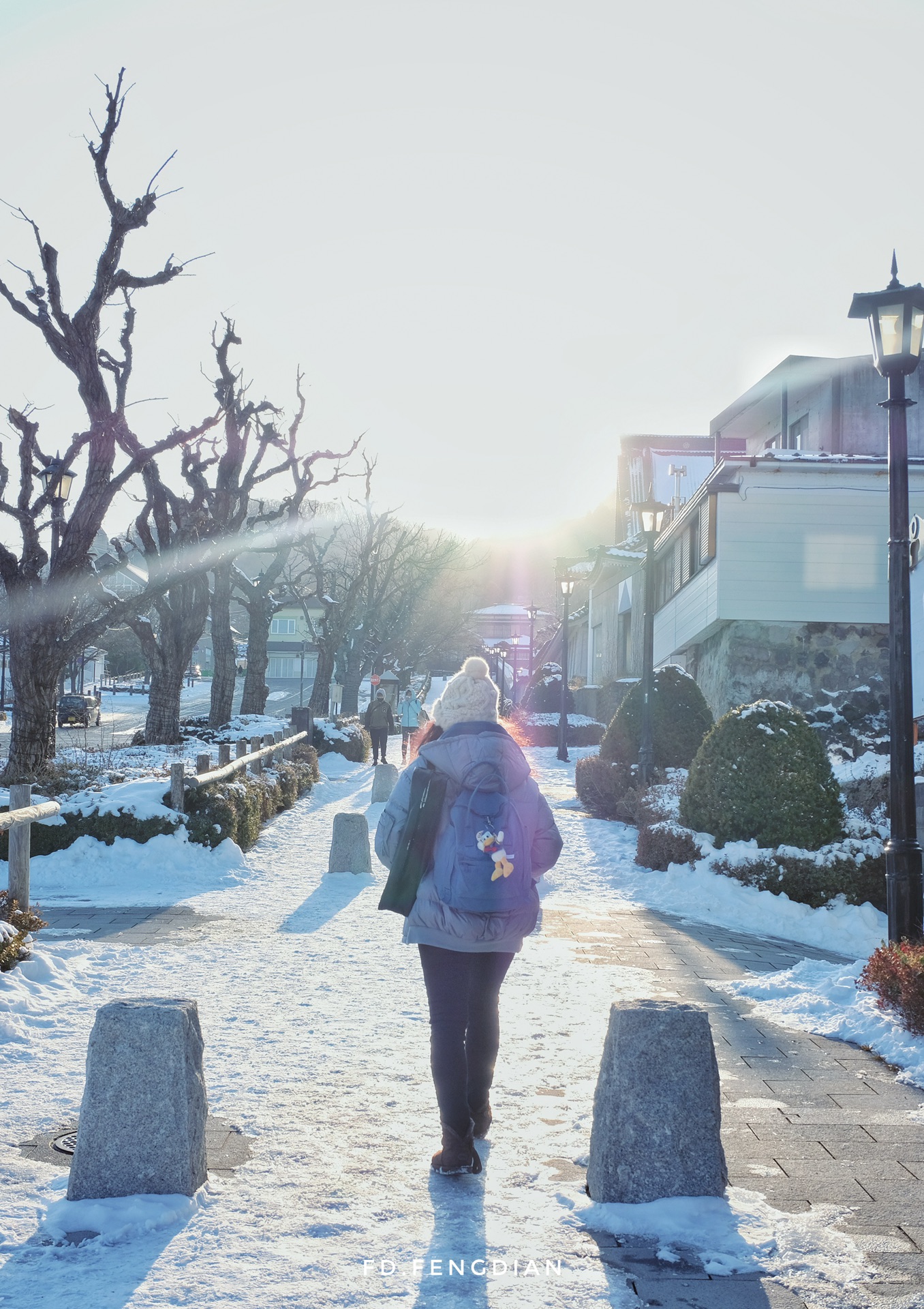 北海道自助遊攻略