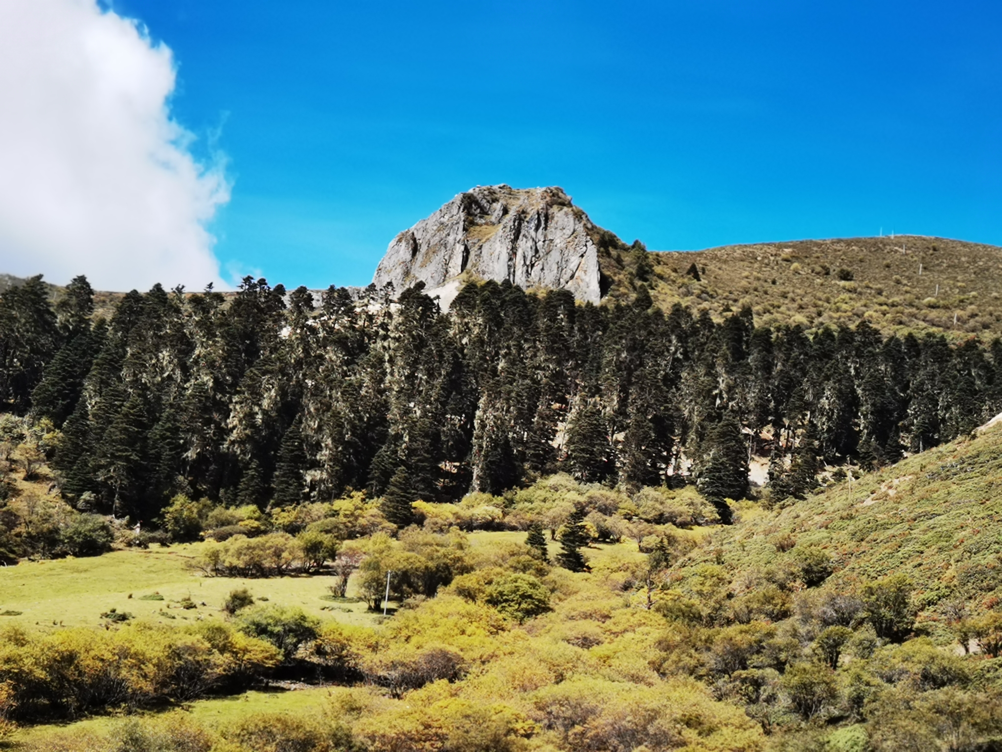 高大上的世外之境一木里(玛娜茶金观景台),木里自助游攻略 - 马蜂窝