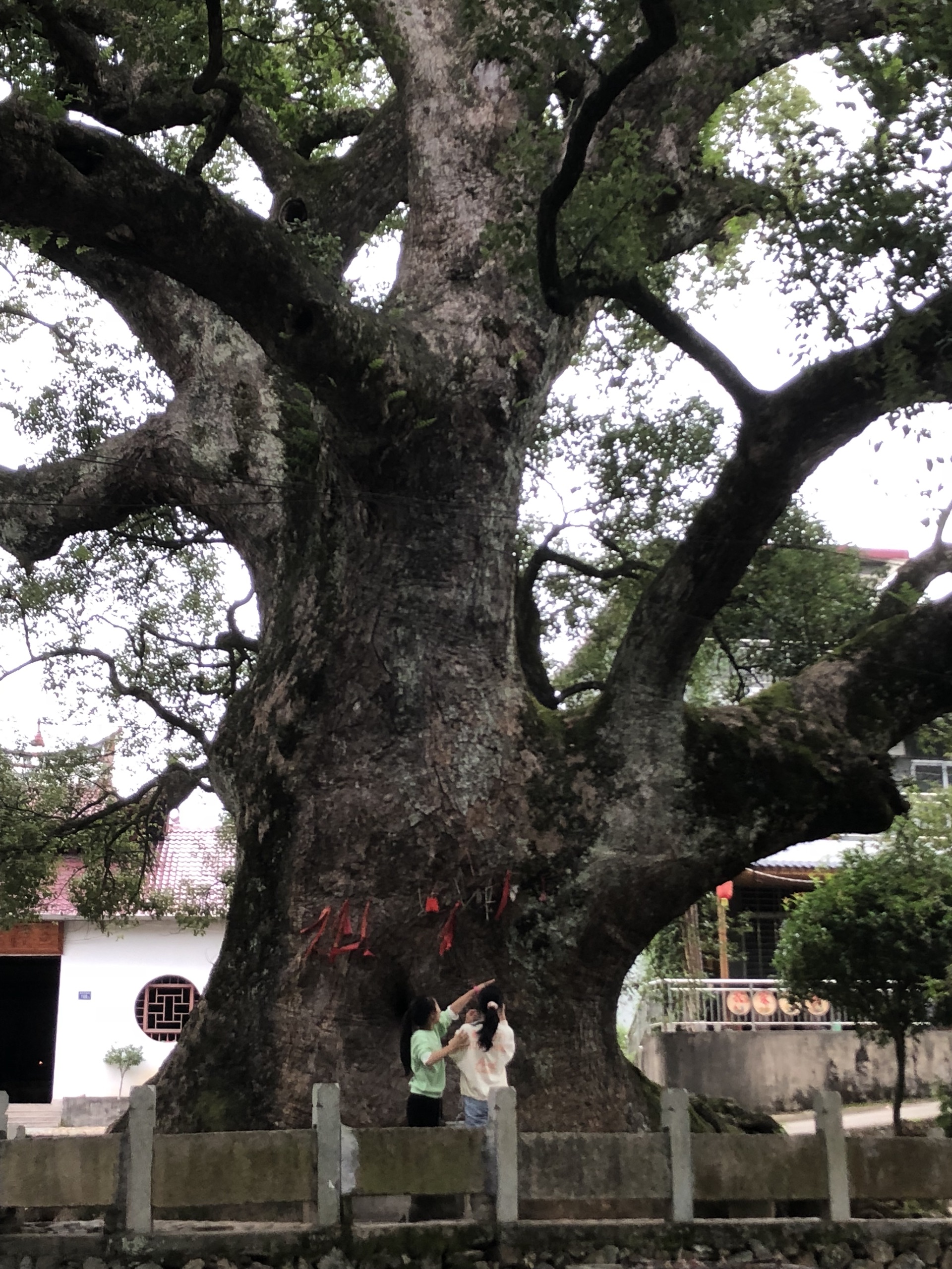 卧龙湾休闲旅游区