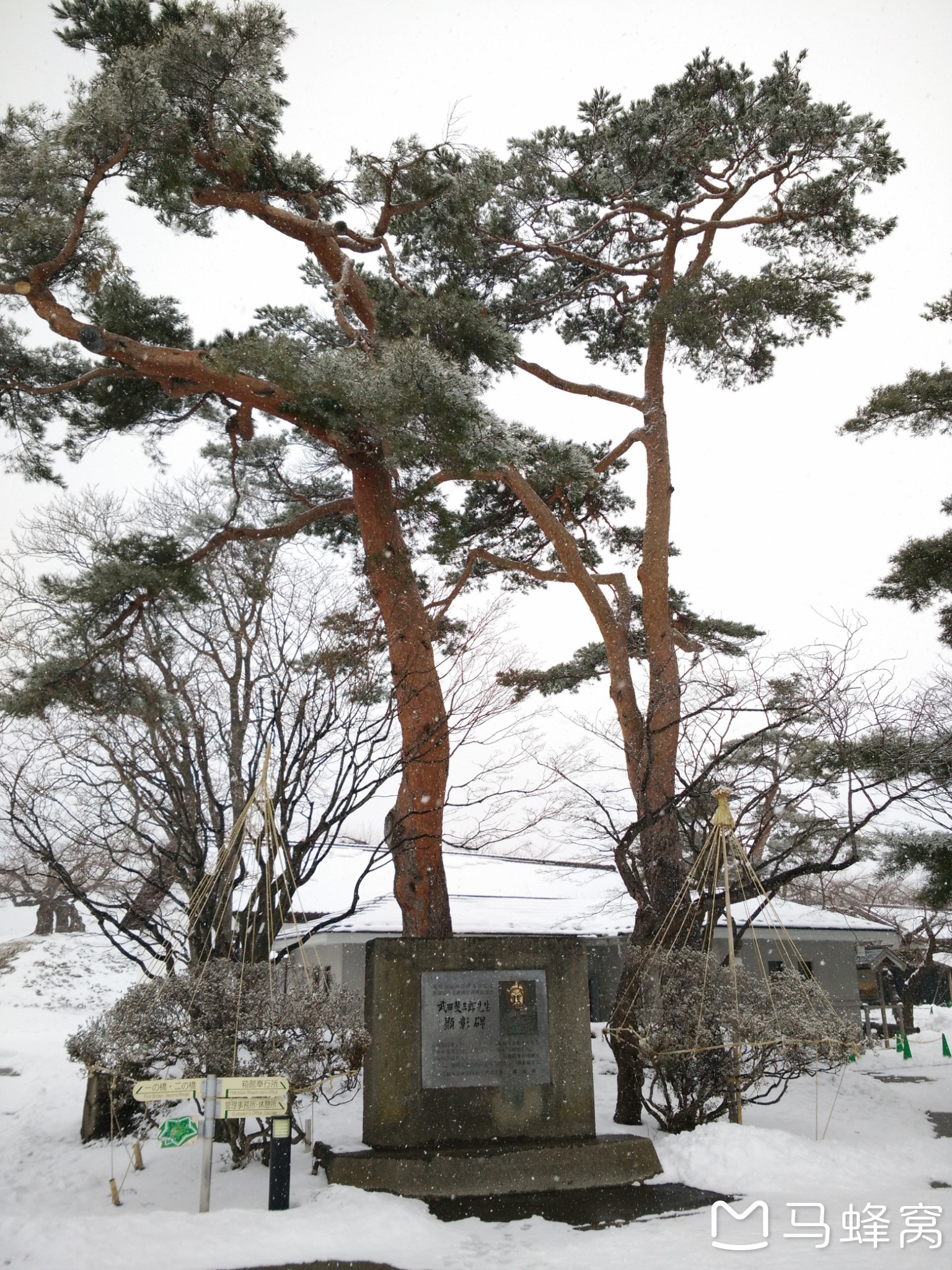 北海道自助遊攻略