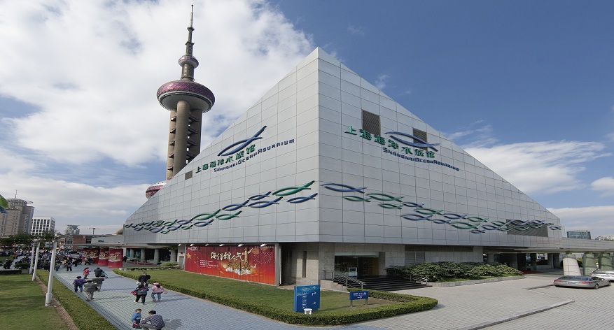 上海海洋水族馆 观光票