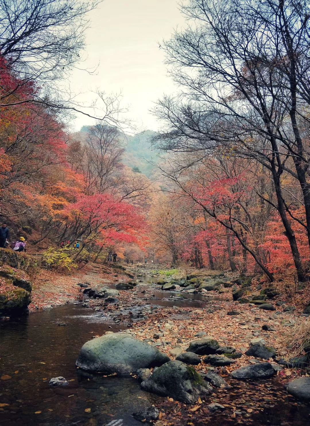 關門山國家森林公園好玩嗎