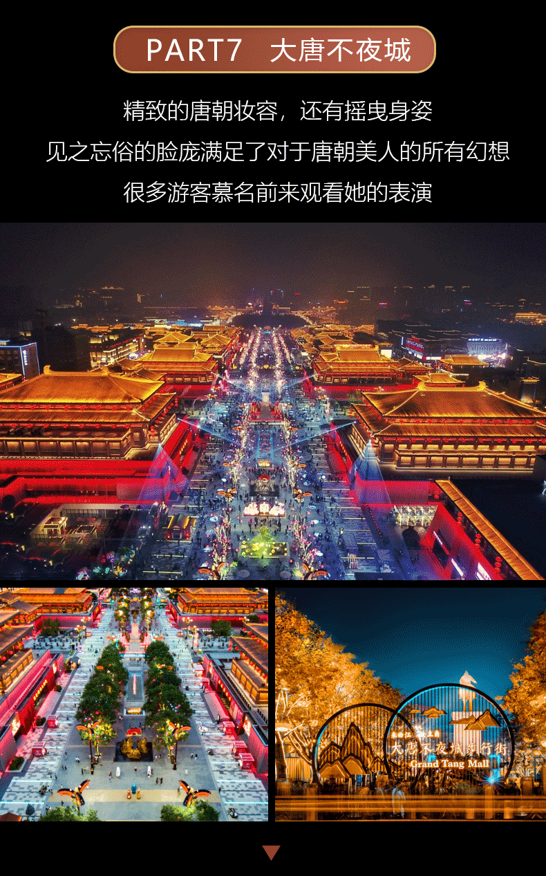 游览华山全景 夜游大唐不夜城 逛吃美食回民街 深度打卡网红美景美食)