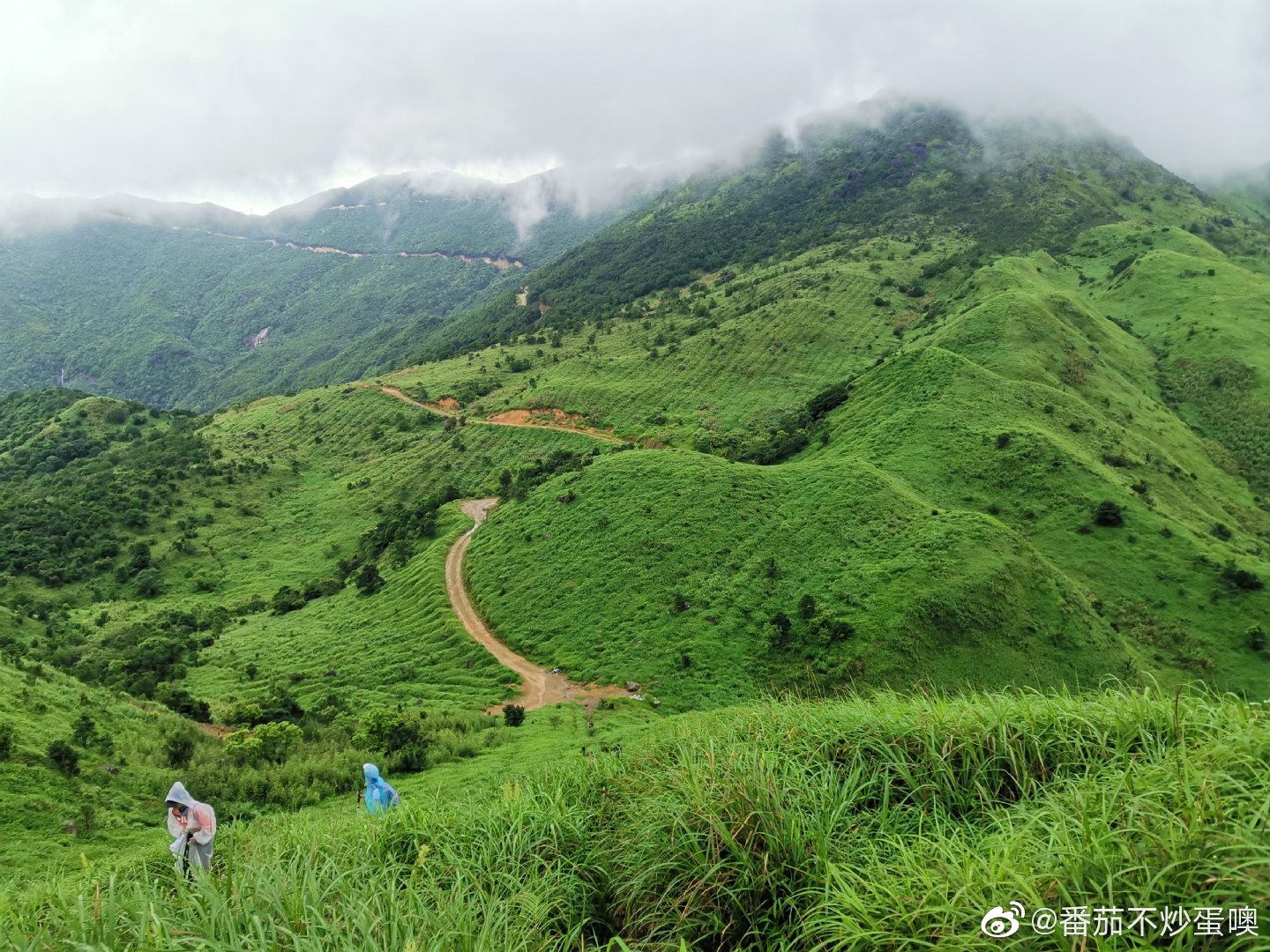 深圳出發惠州大南山一日遊穿越百年古道廣東版武功山高山草甸參觀大王