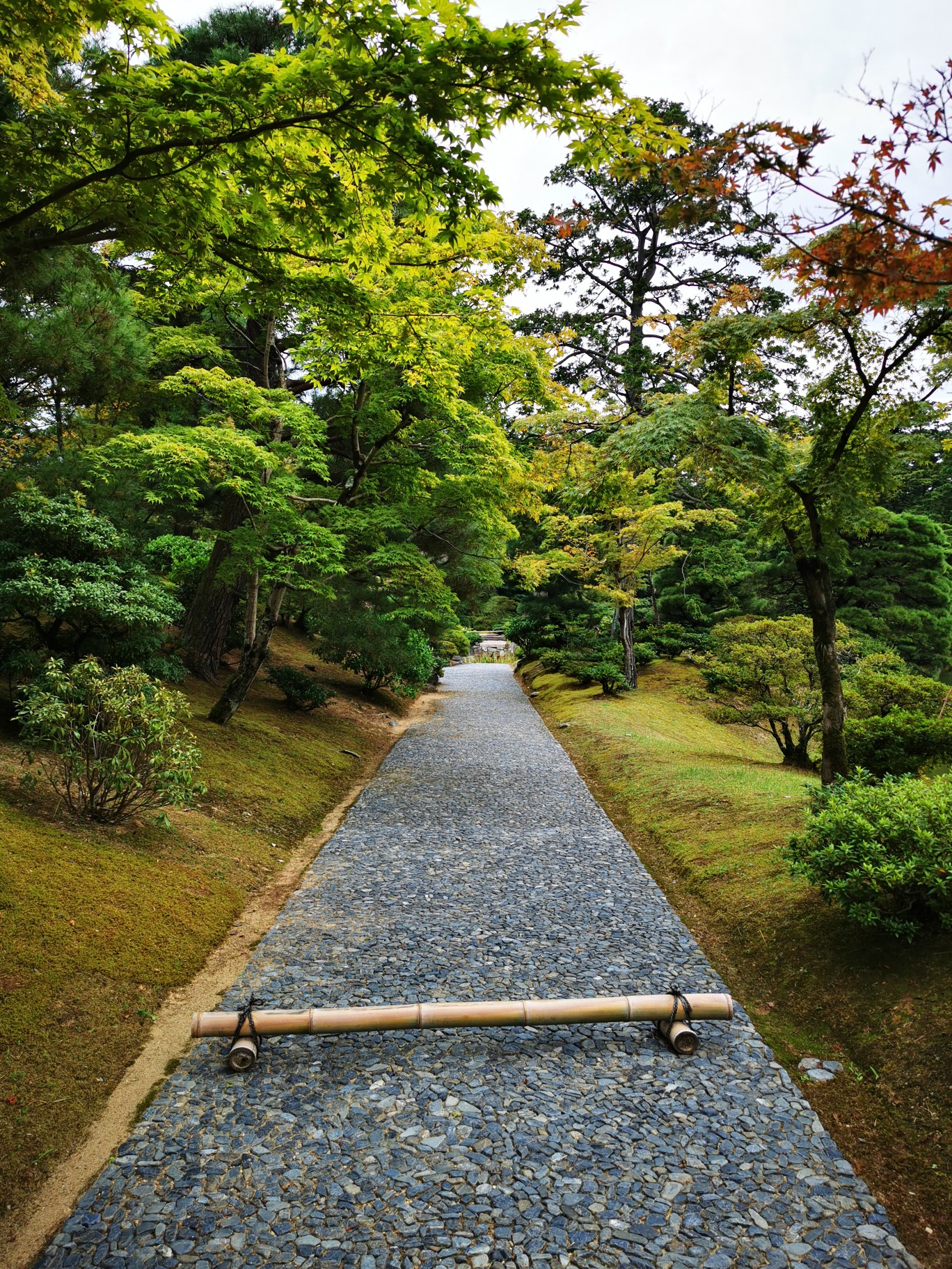 京都自助遊攻略