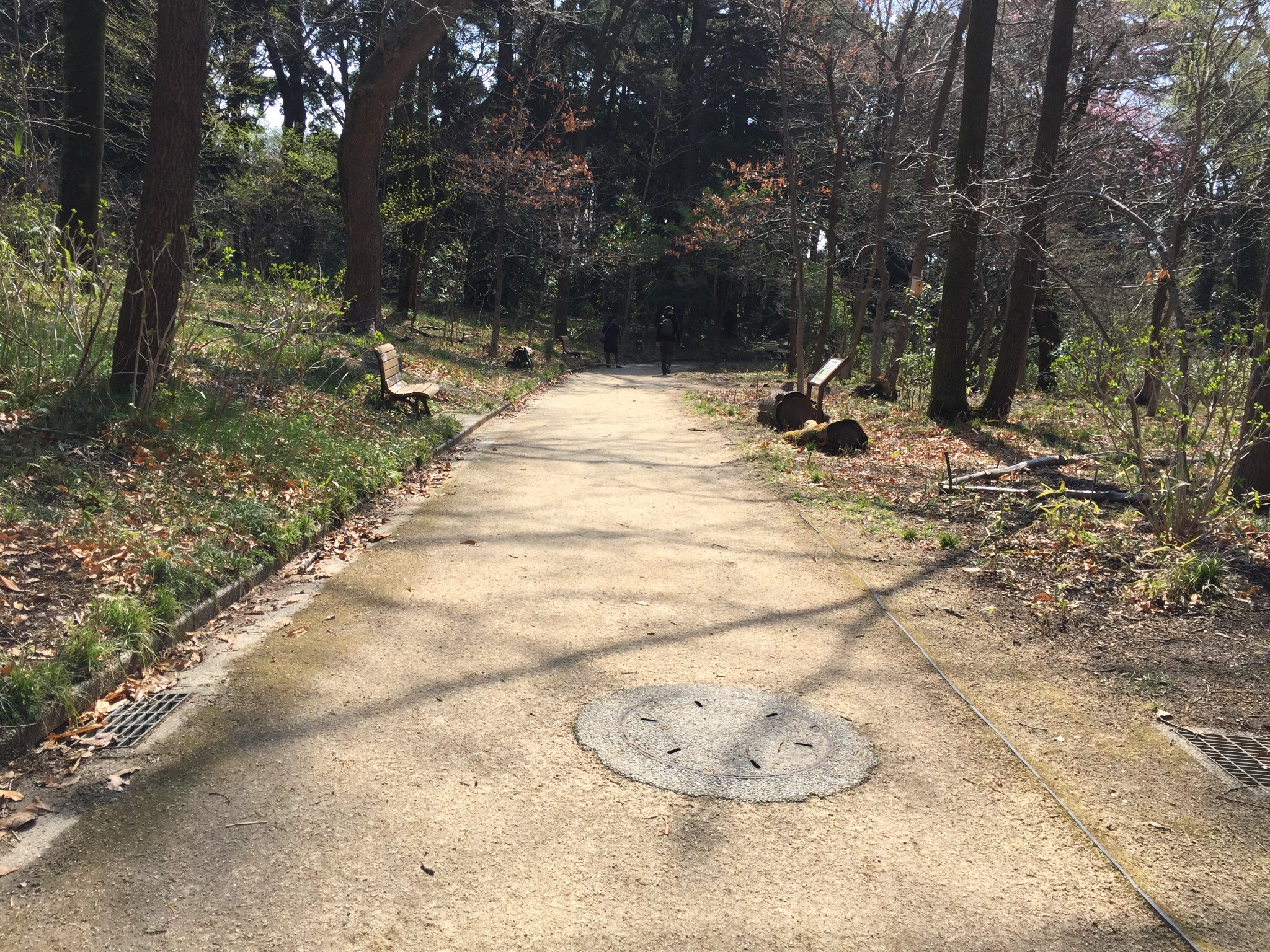 東京自助遊攻略