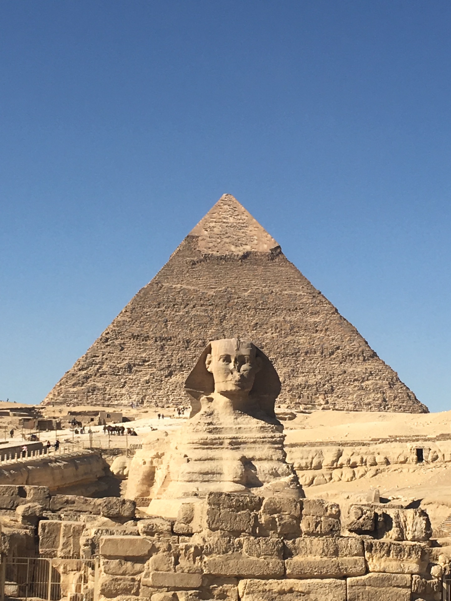 埃及流水账之三地中海,金字塔_游记