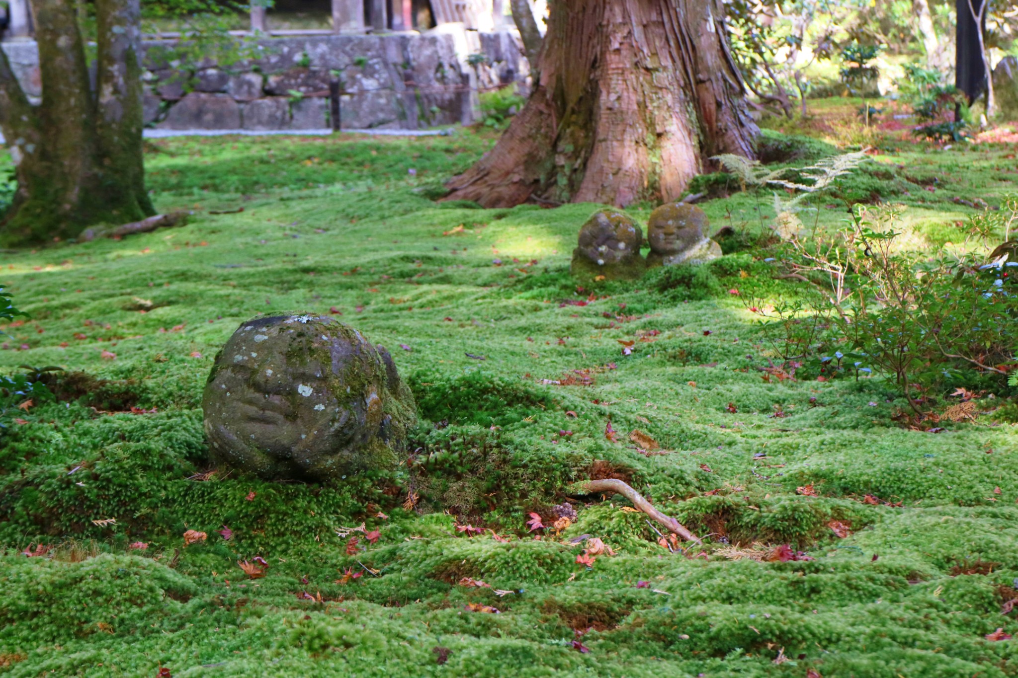 京都自助遊攻略