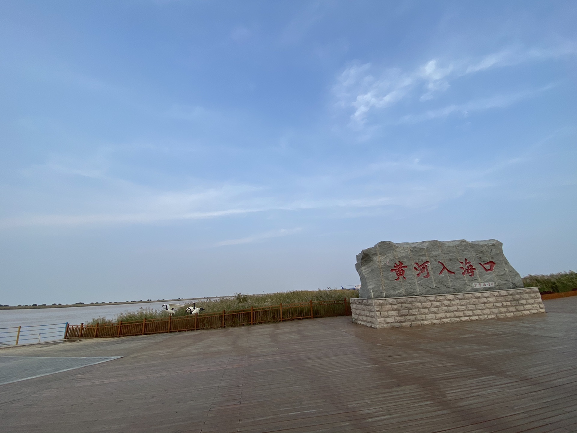 黄河入海口景区介绍图片