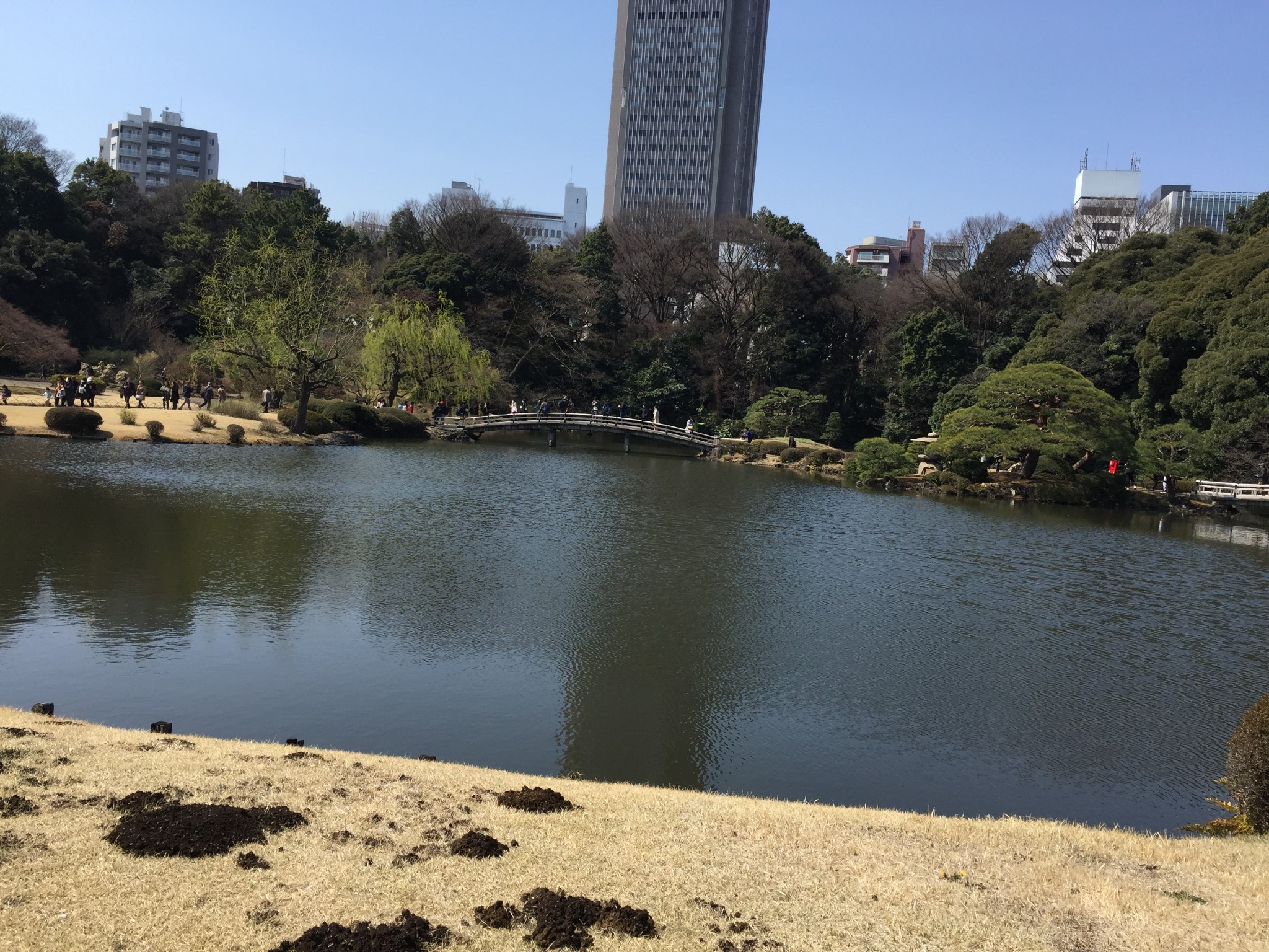 東京自助遊攻略