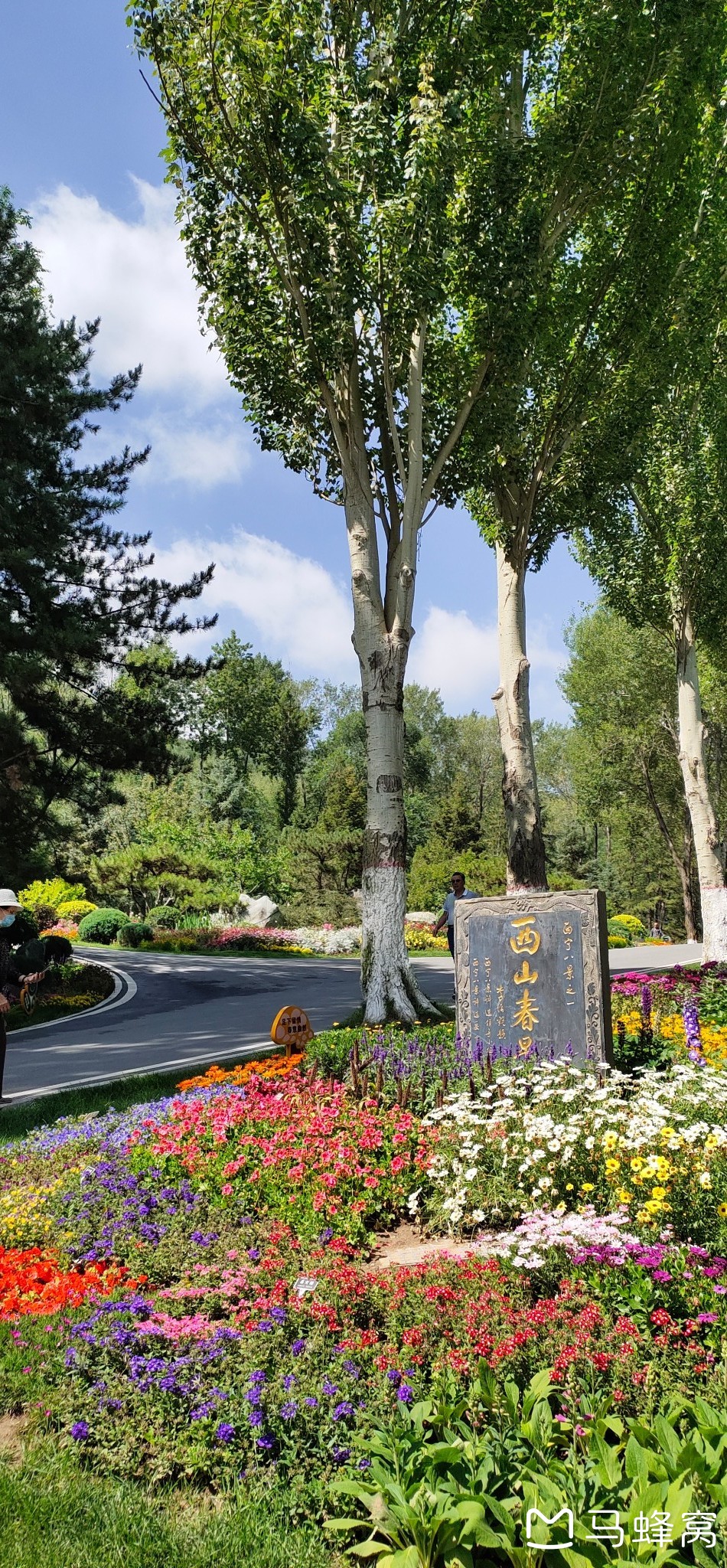 独闯拉萨(十一)西宁植物园