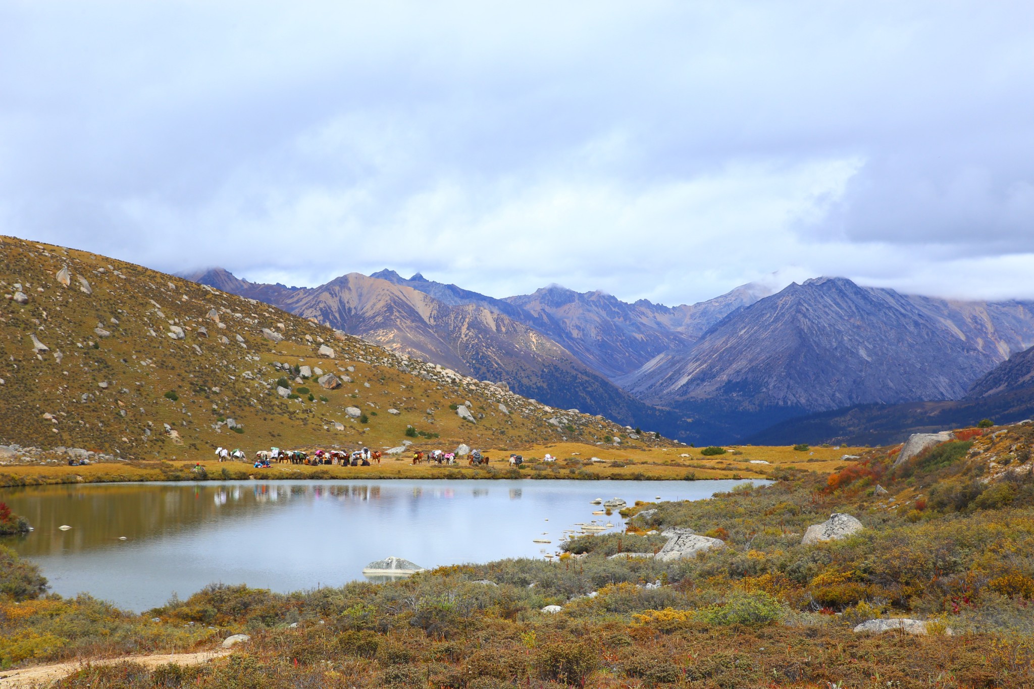 格聂v线去秋色里徒个步吧