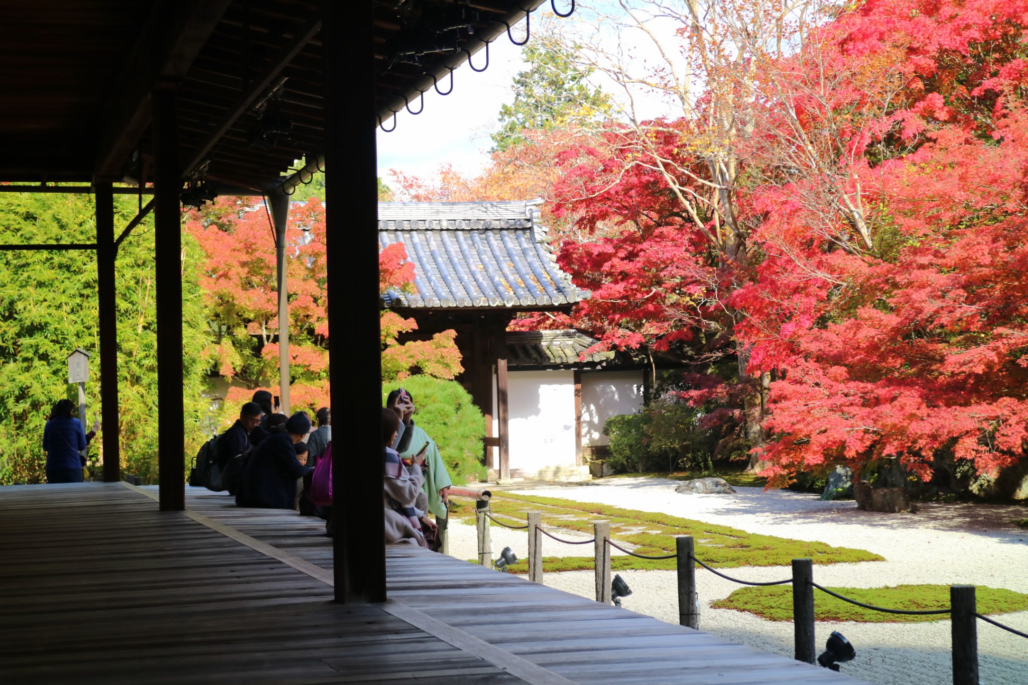 京都自助遊攻略