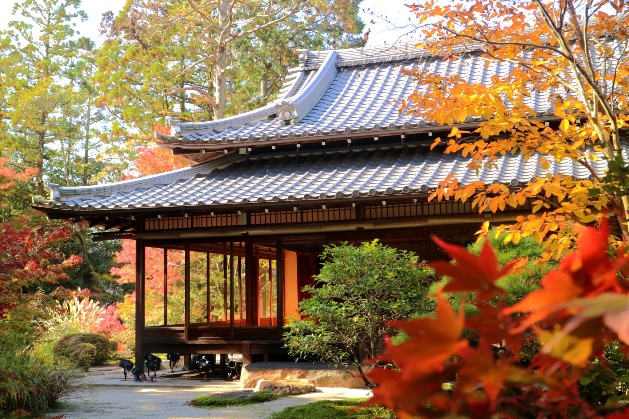 京都自助遊攻略