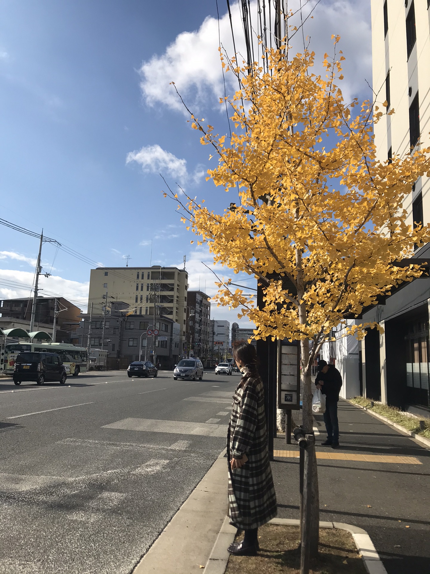 京都自助遊攻略