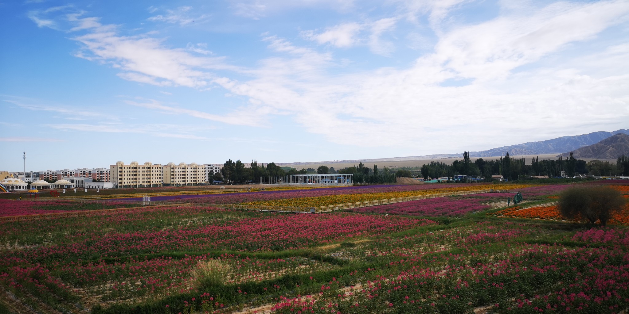 肃北蒙古族自治县自助游图片,肃北蒙古族自治县旅游景点照片 - 马蜂窝