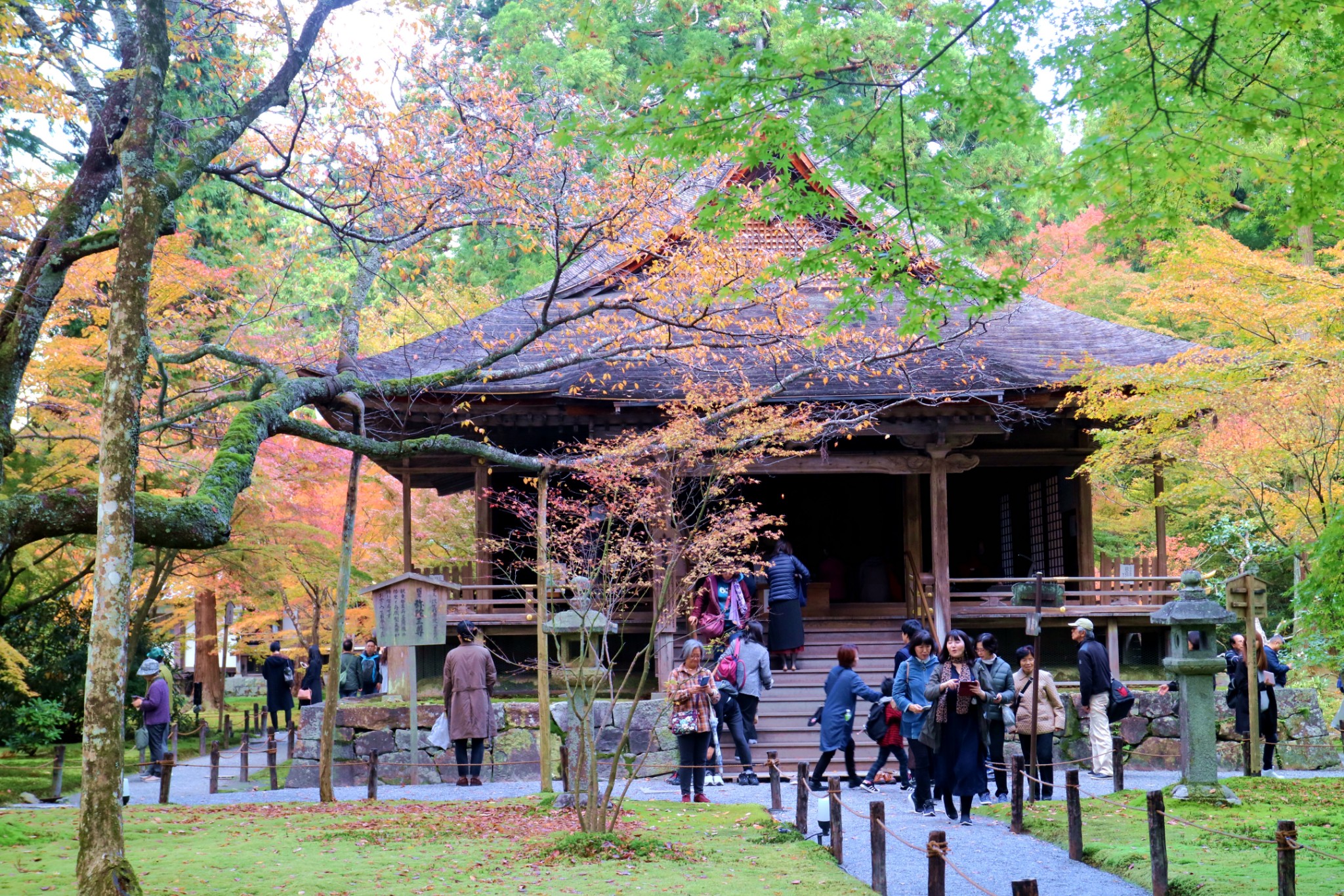 京都自助遊攻略