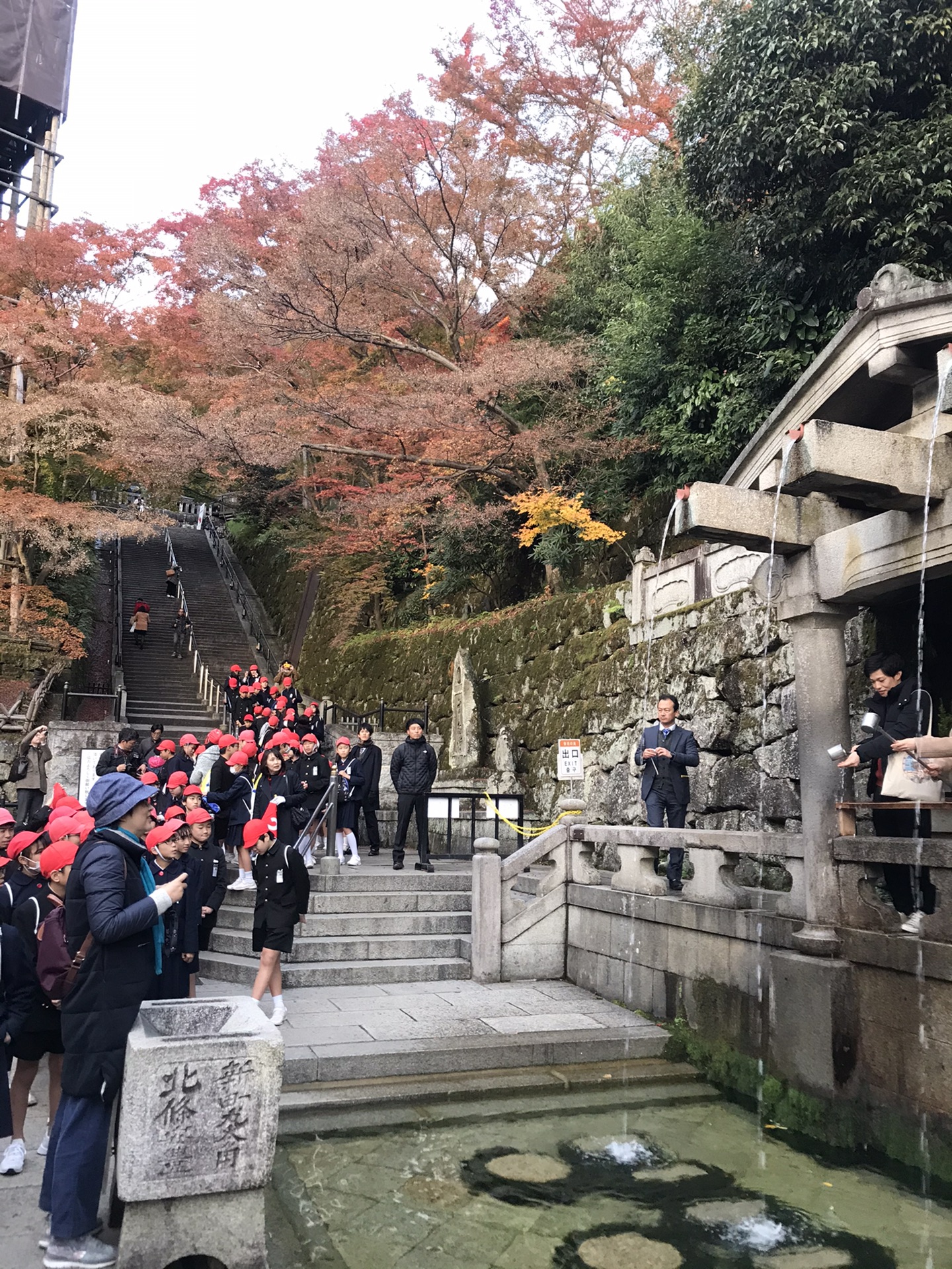 京都自助遊攻略