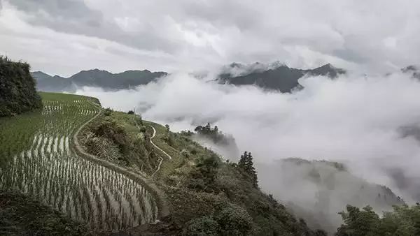 邀您欣赏白际风光--白际旅游攻略
