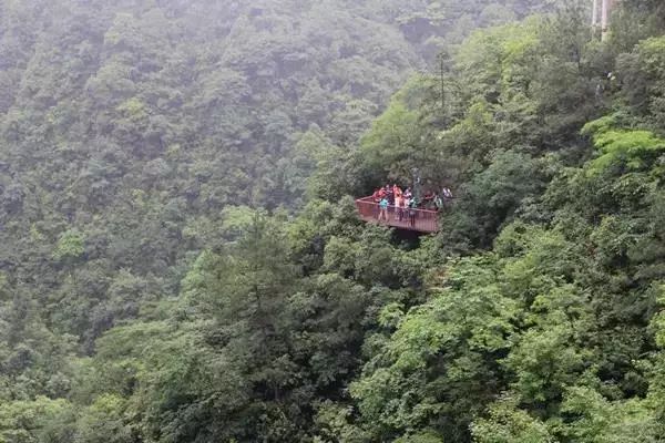 邀您欣赏白际风光--白际旅游攻略