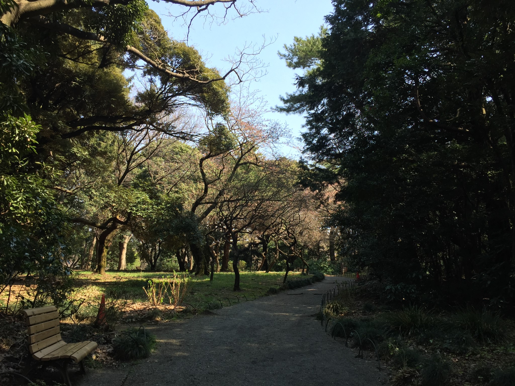 東京自助遊攻略