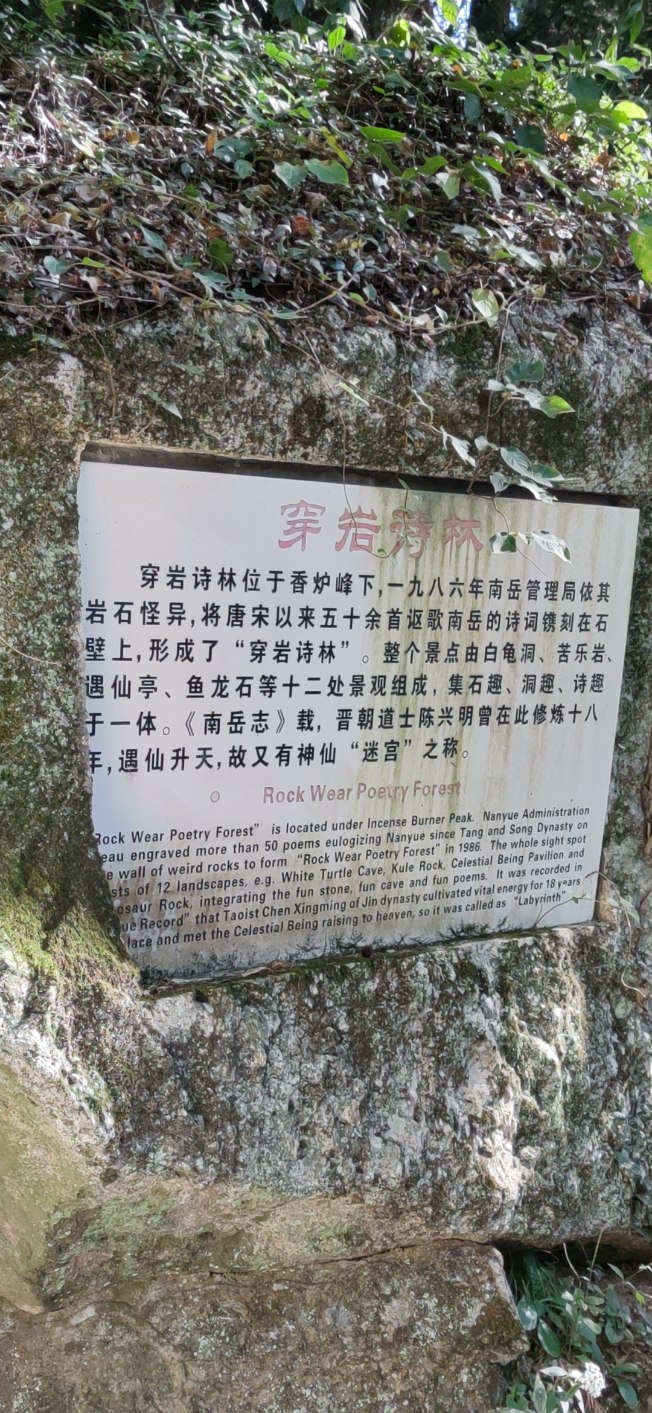 衡山穿岩诗林图片