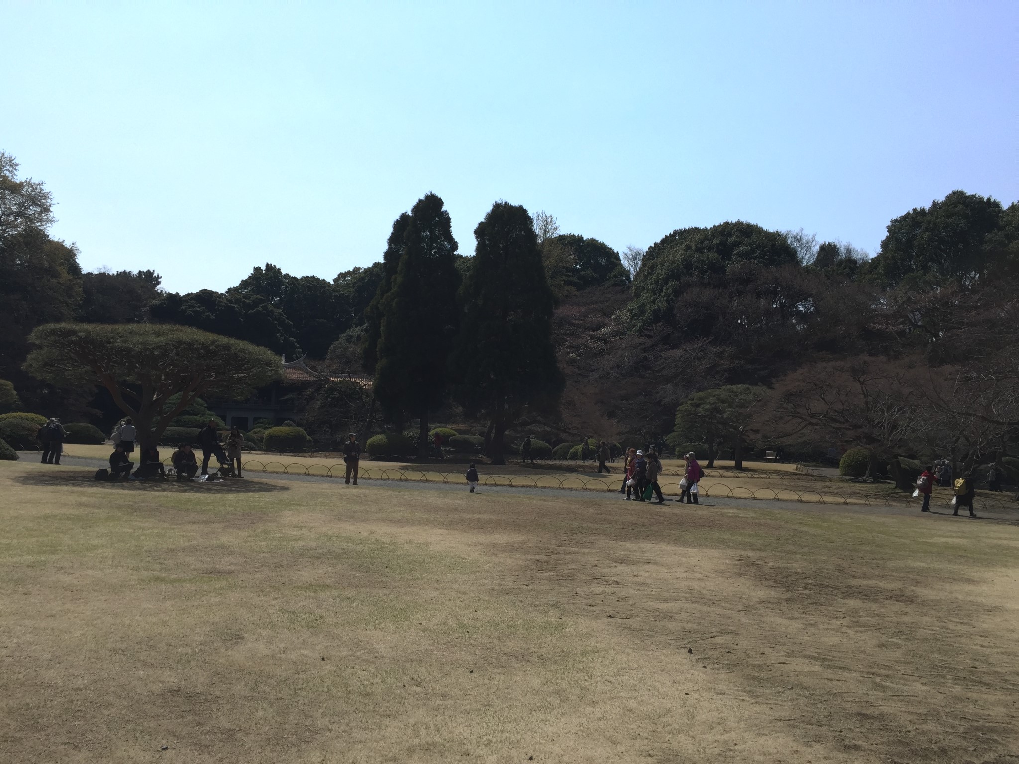 東京自助遊攻略