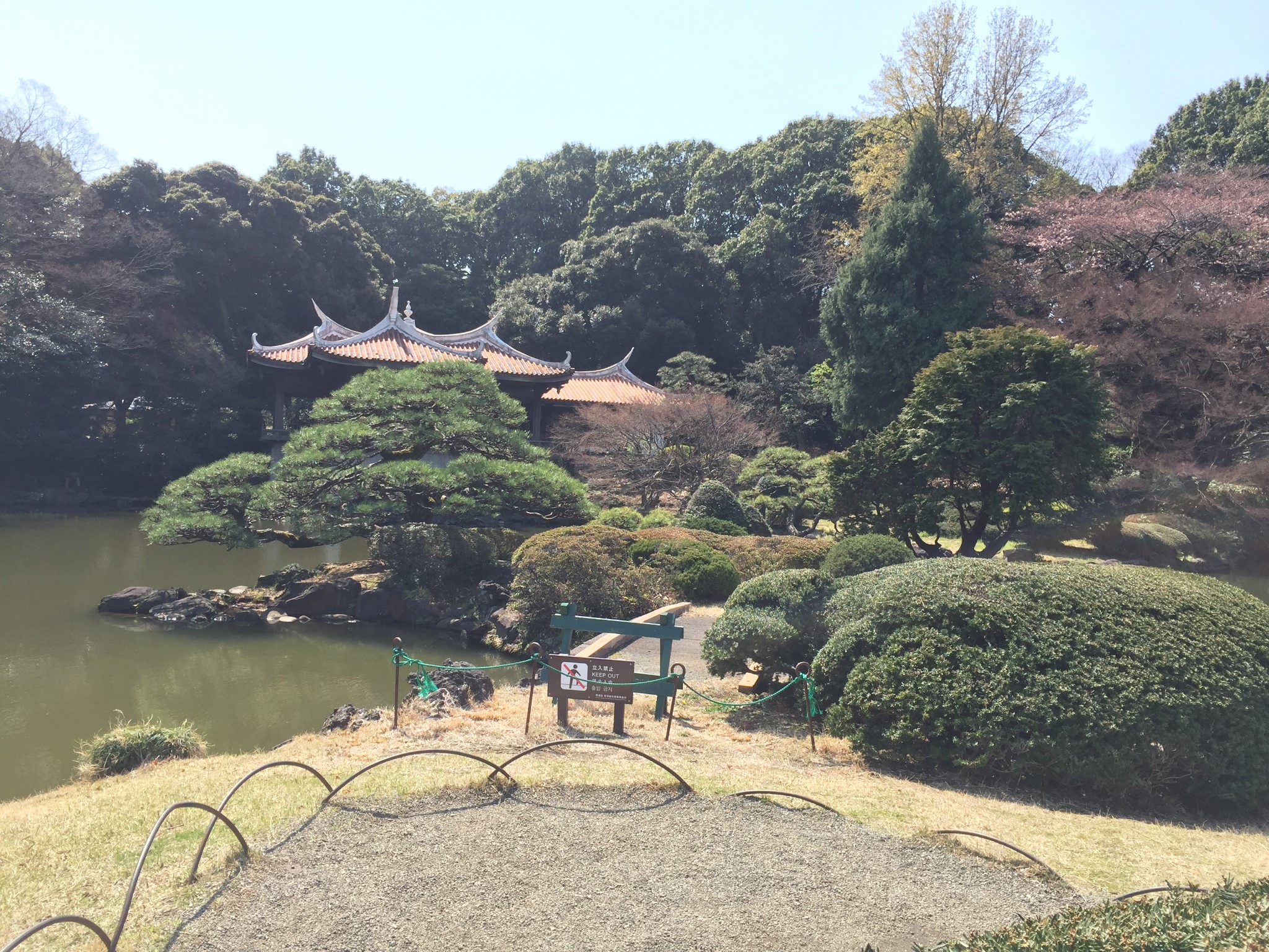 東京自助遊攻略