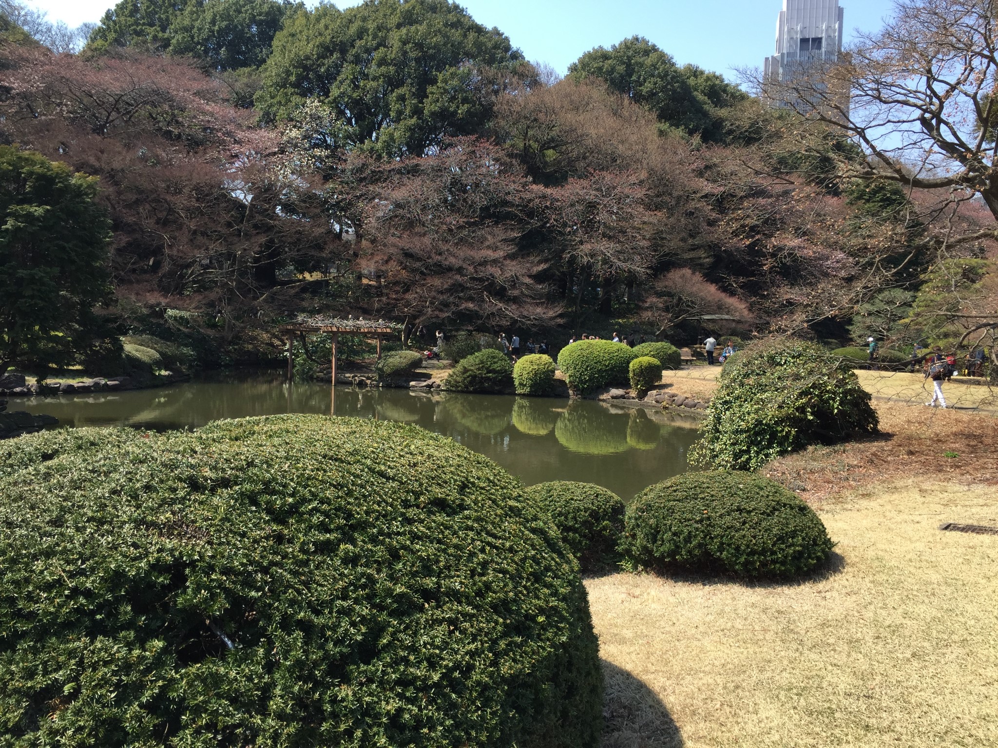 東京自助遊攻略