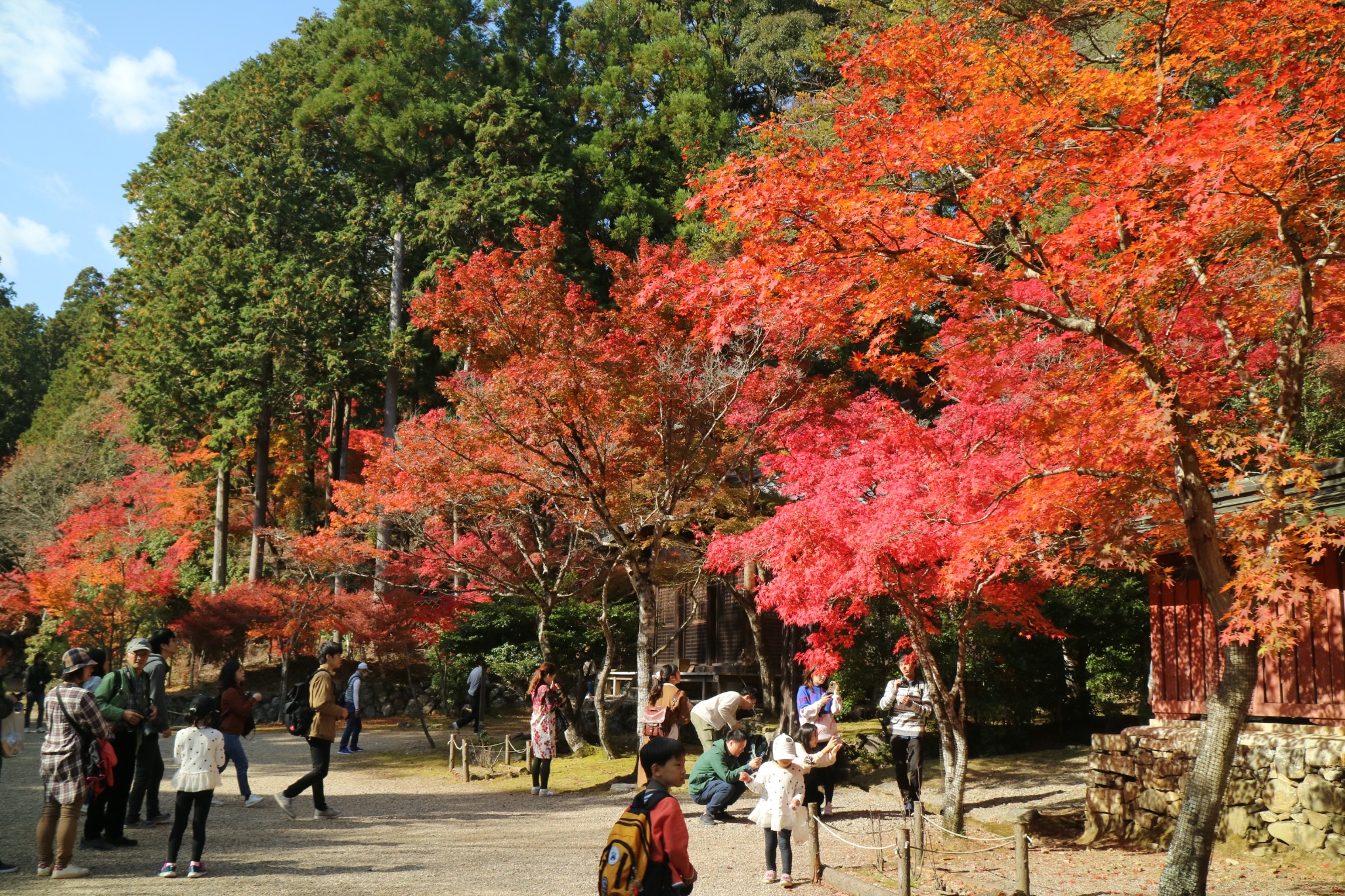 京都自助遊攻略