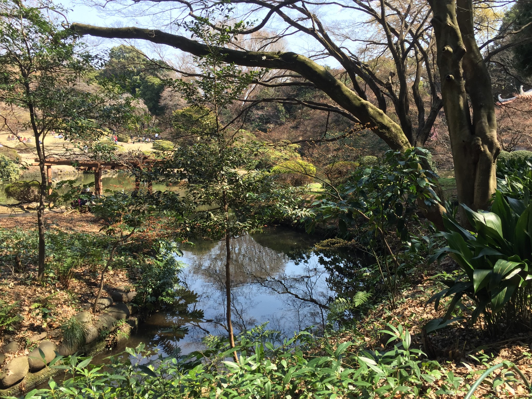 東京自助遊攻略