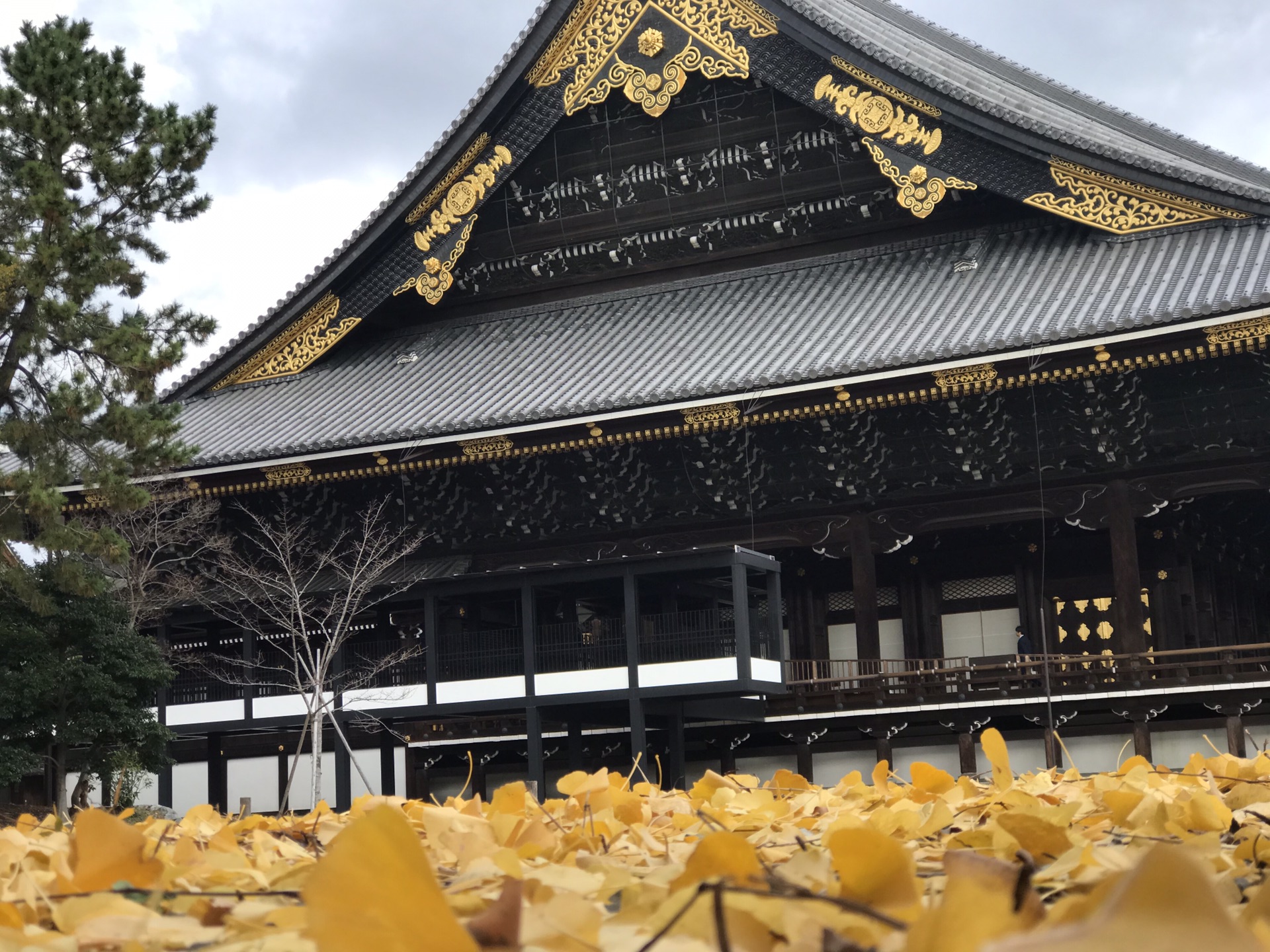 京都自助遊攻略