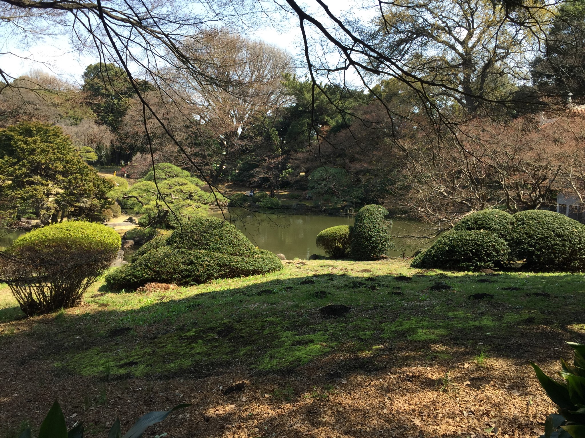 東京自助遊攻略