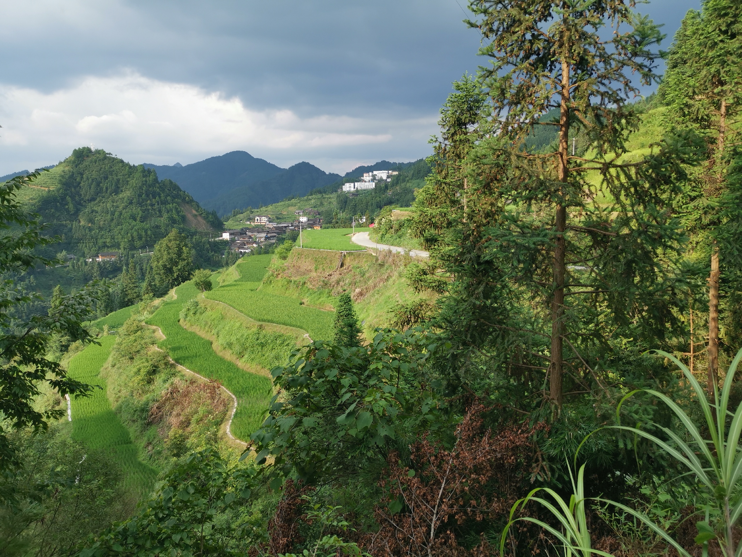 丹寨县雅灰乡雅灰村民委员会