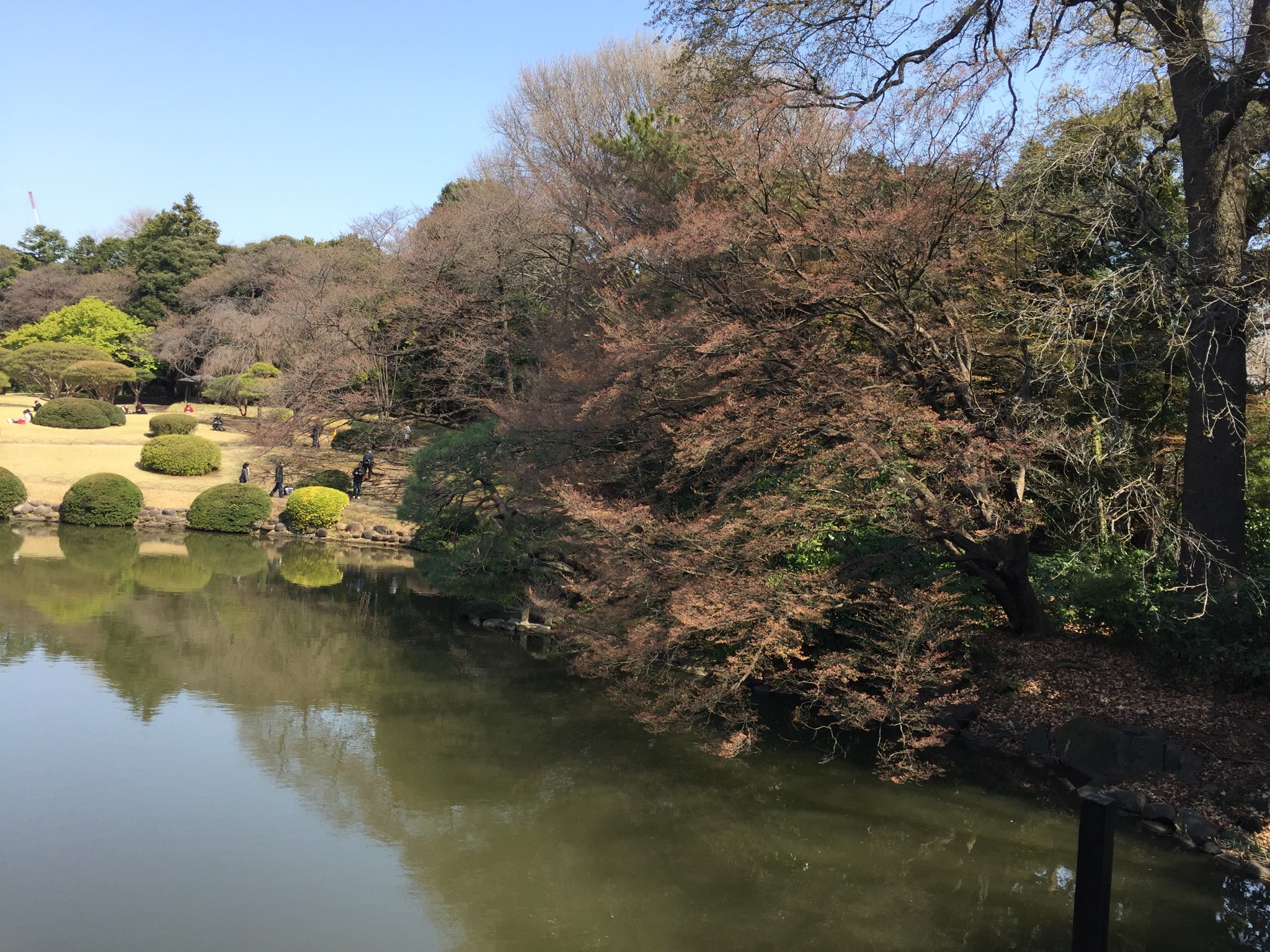 東京自助遊攻略