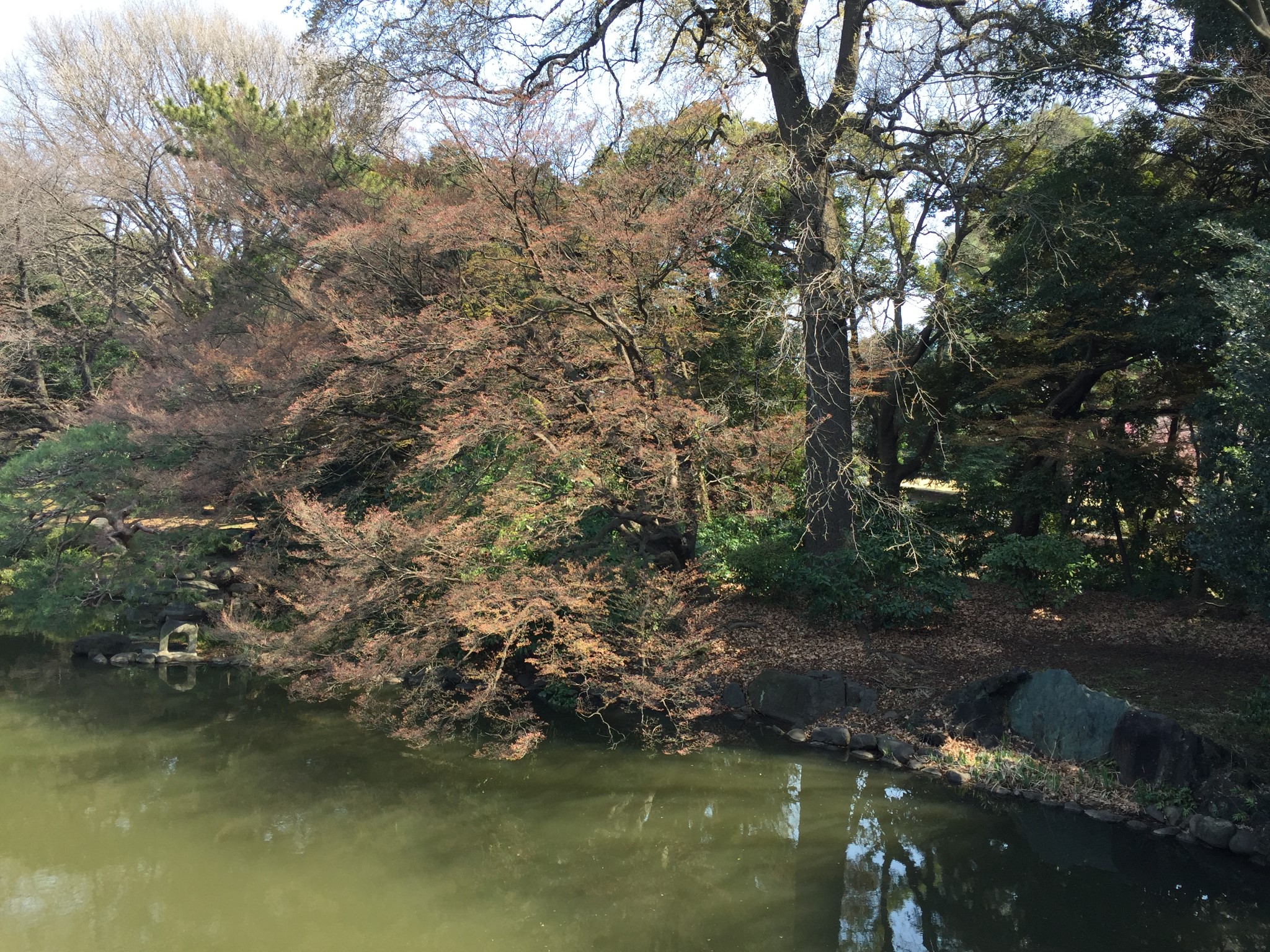 東京自助遊攻略