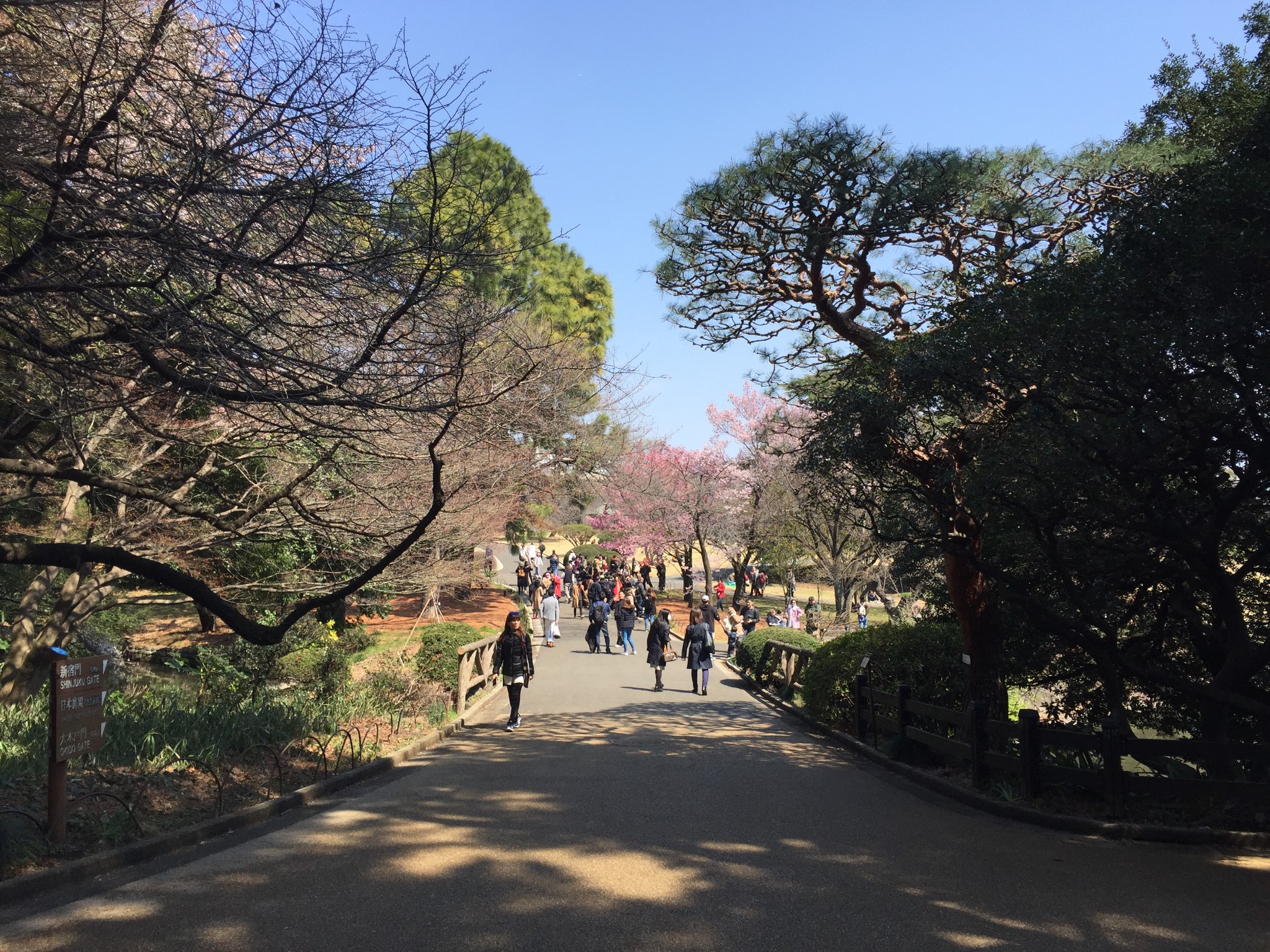 東京自助遊攻略