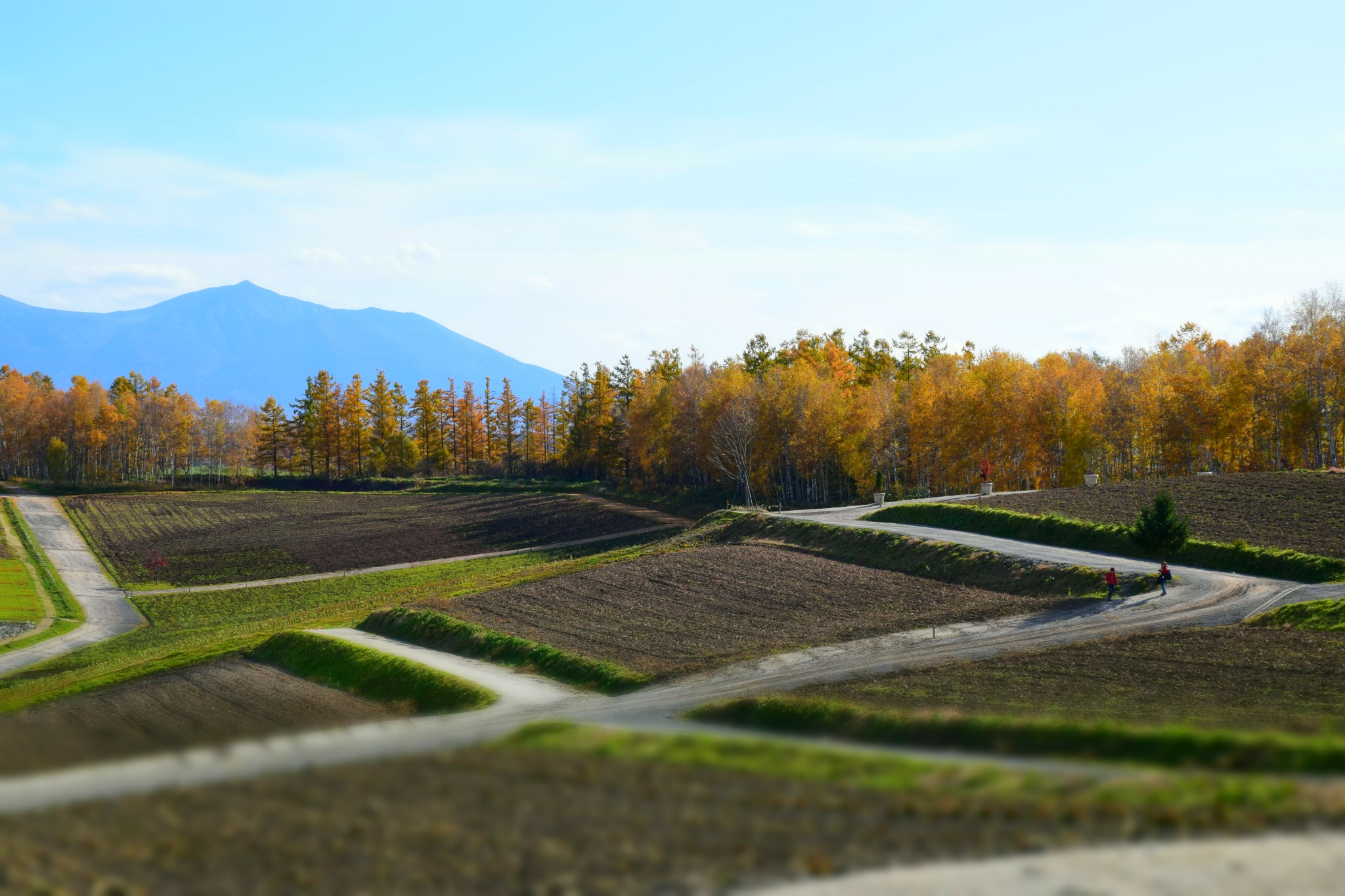 北海道自助遊攻略