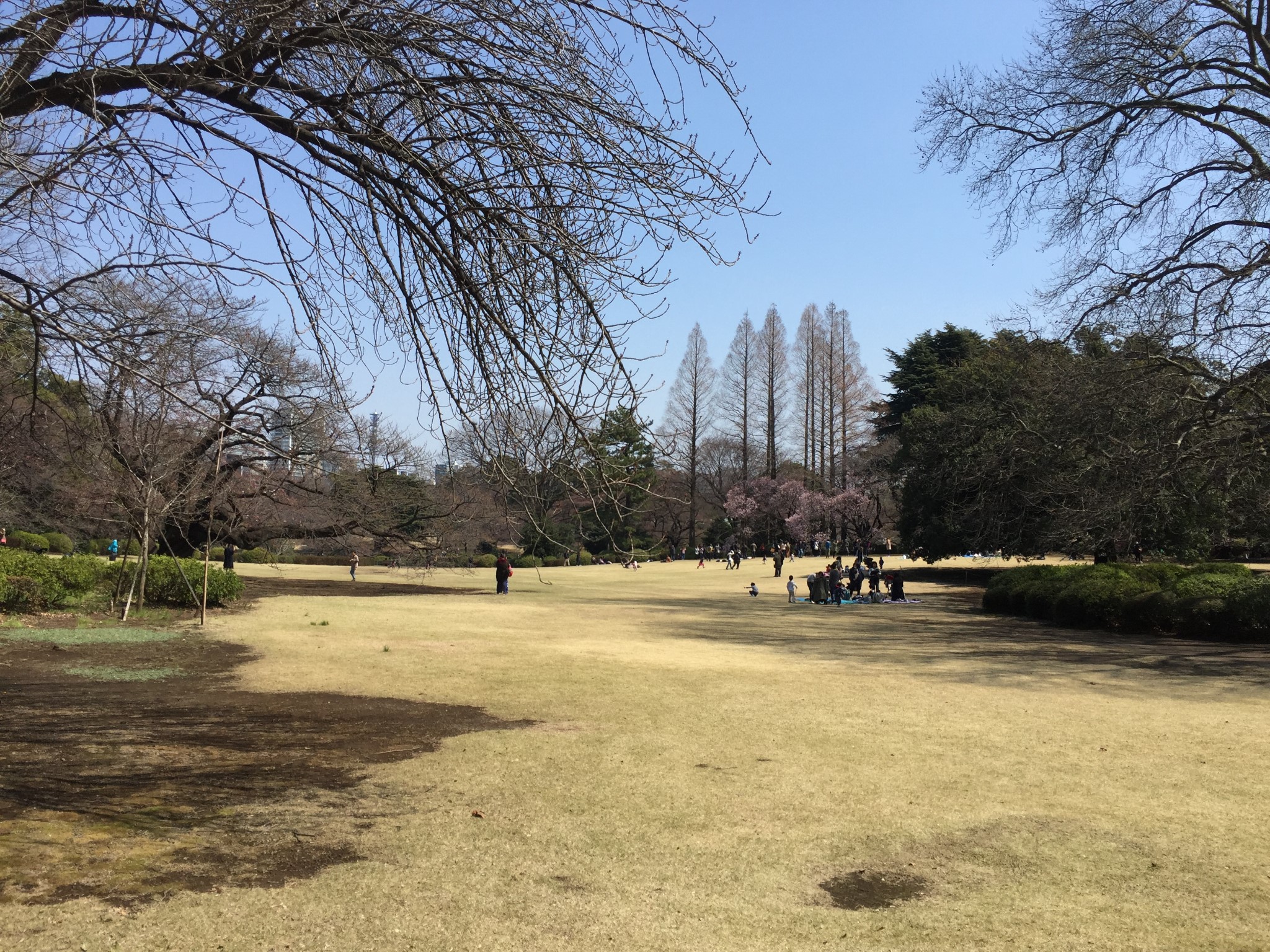 東京自助遊攻略