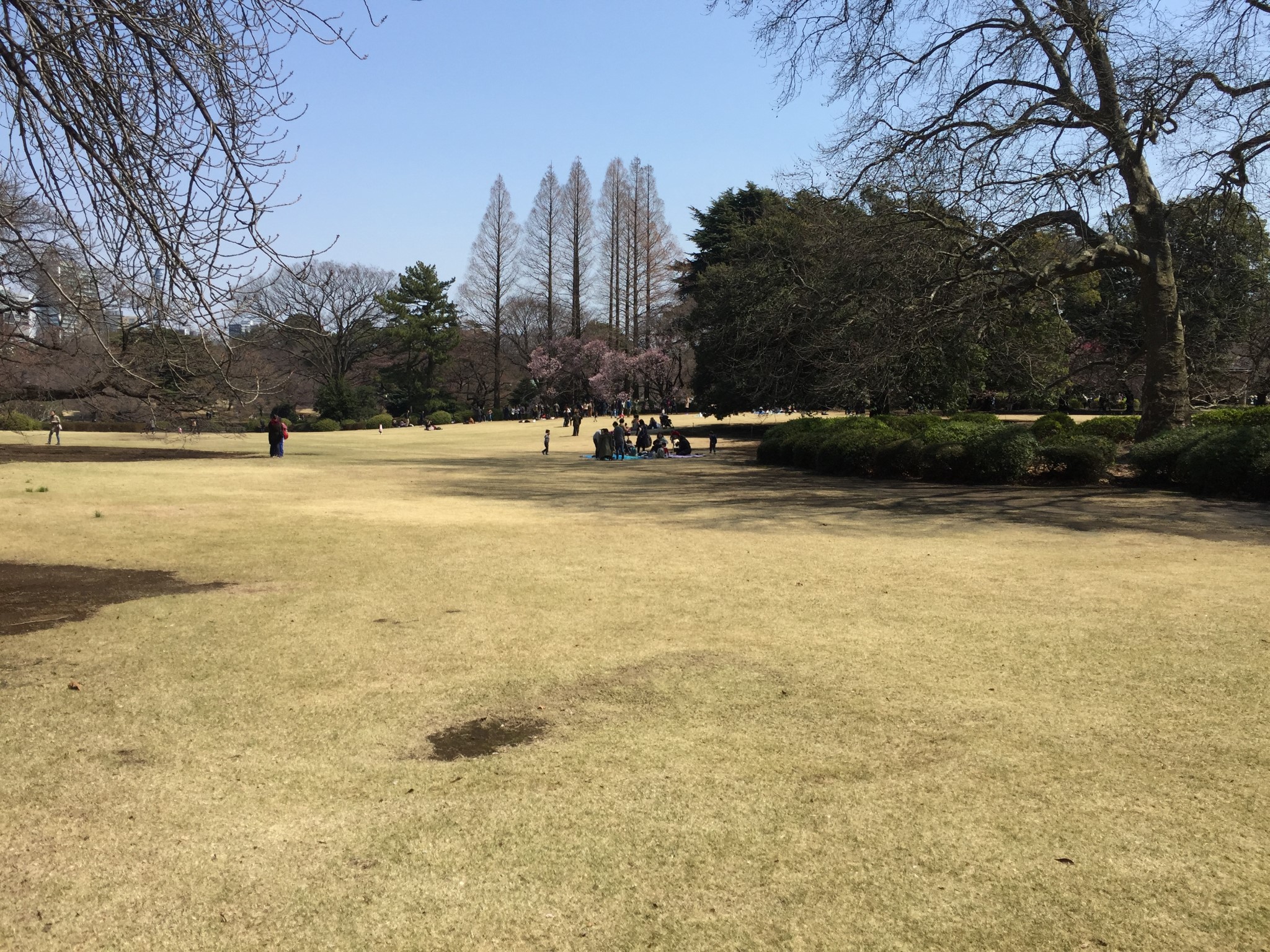 東京自助遊攻略