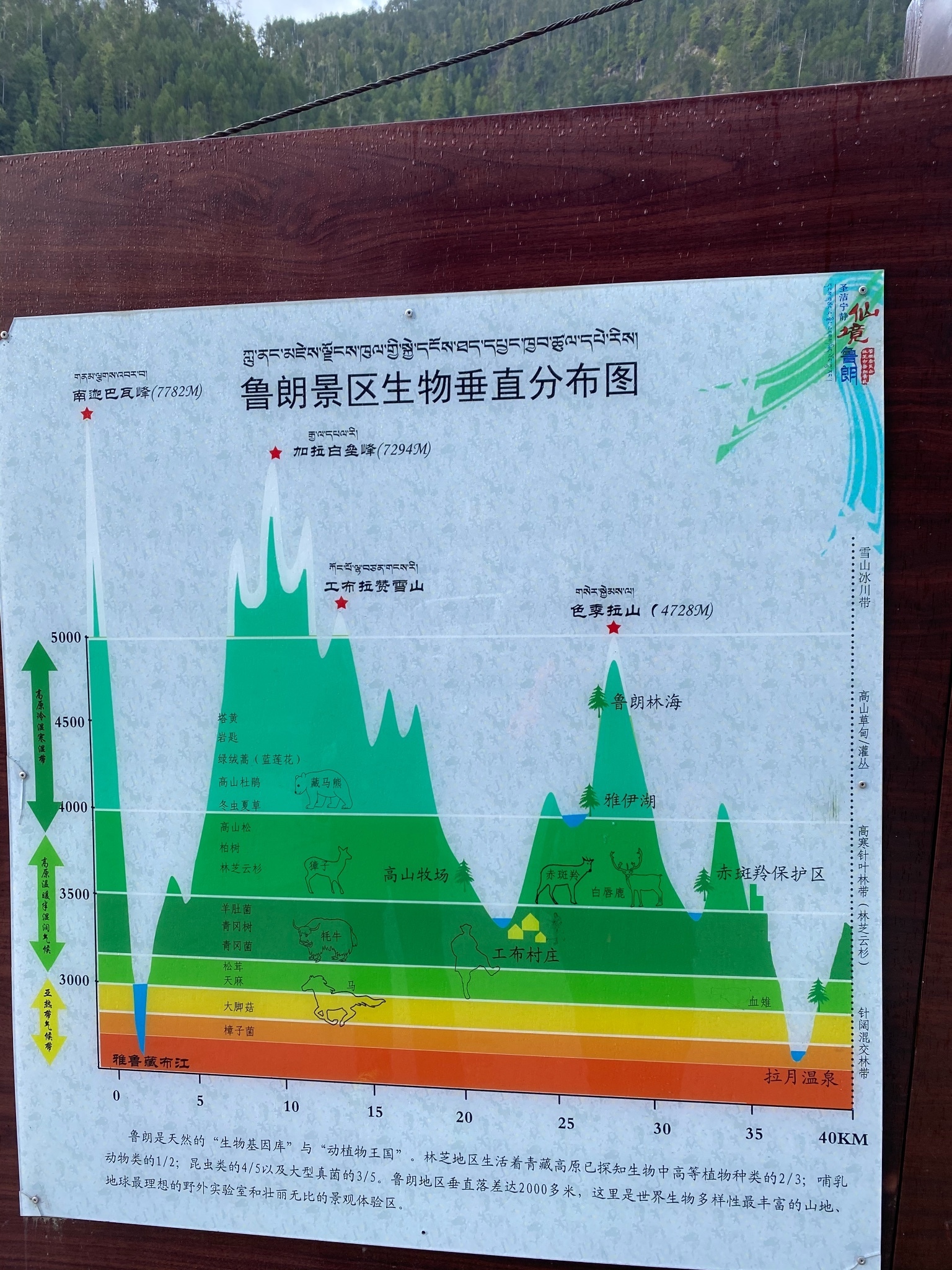 成都自助遊攻略