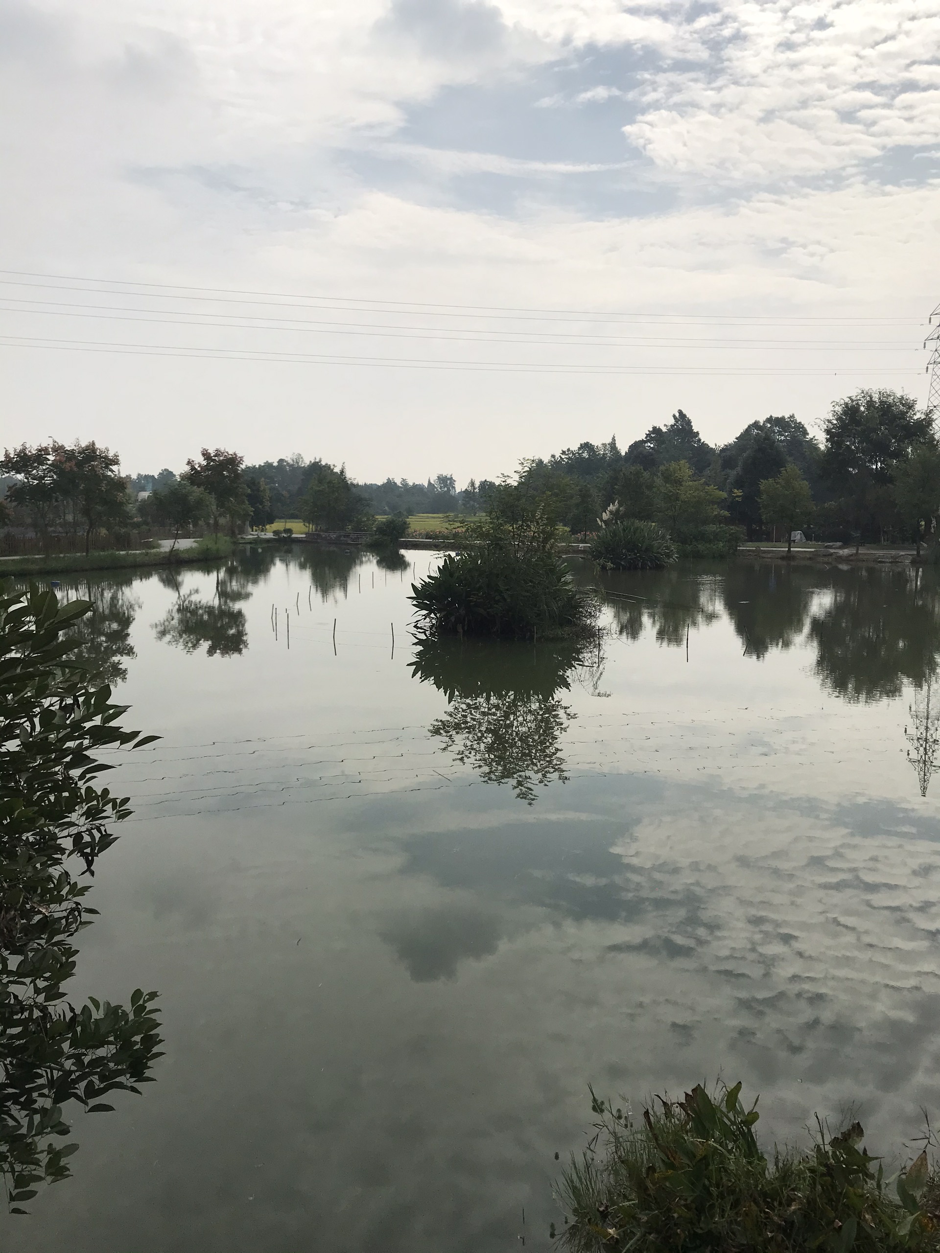 三道堰香草湖湿地公园图片