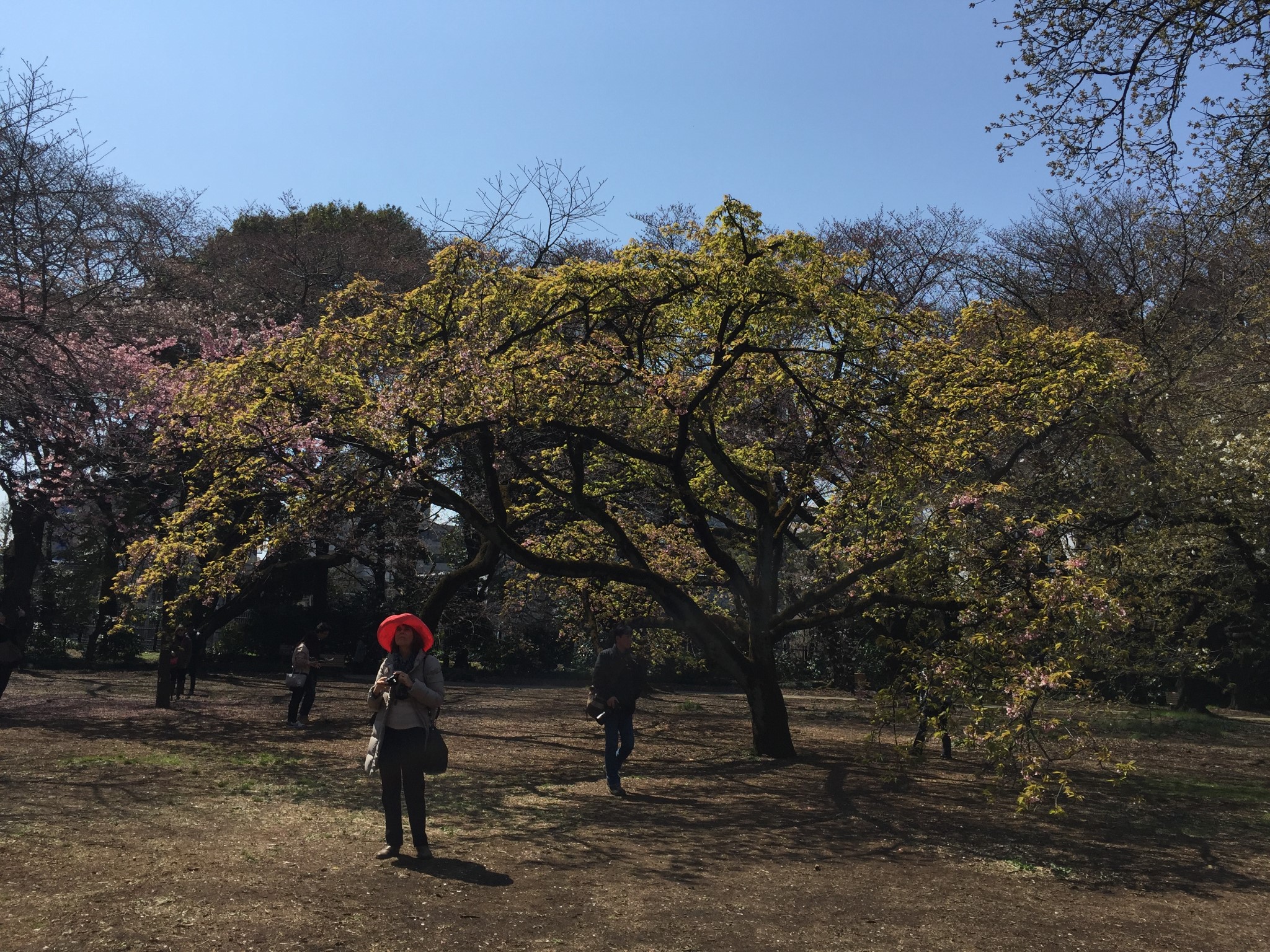 東京自助遊攻略