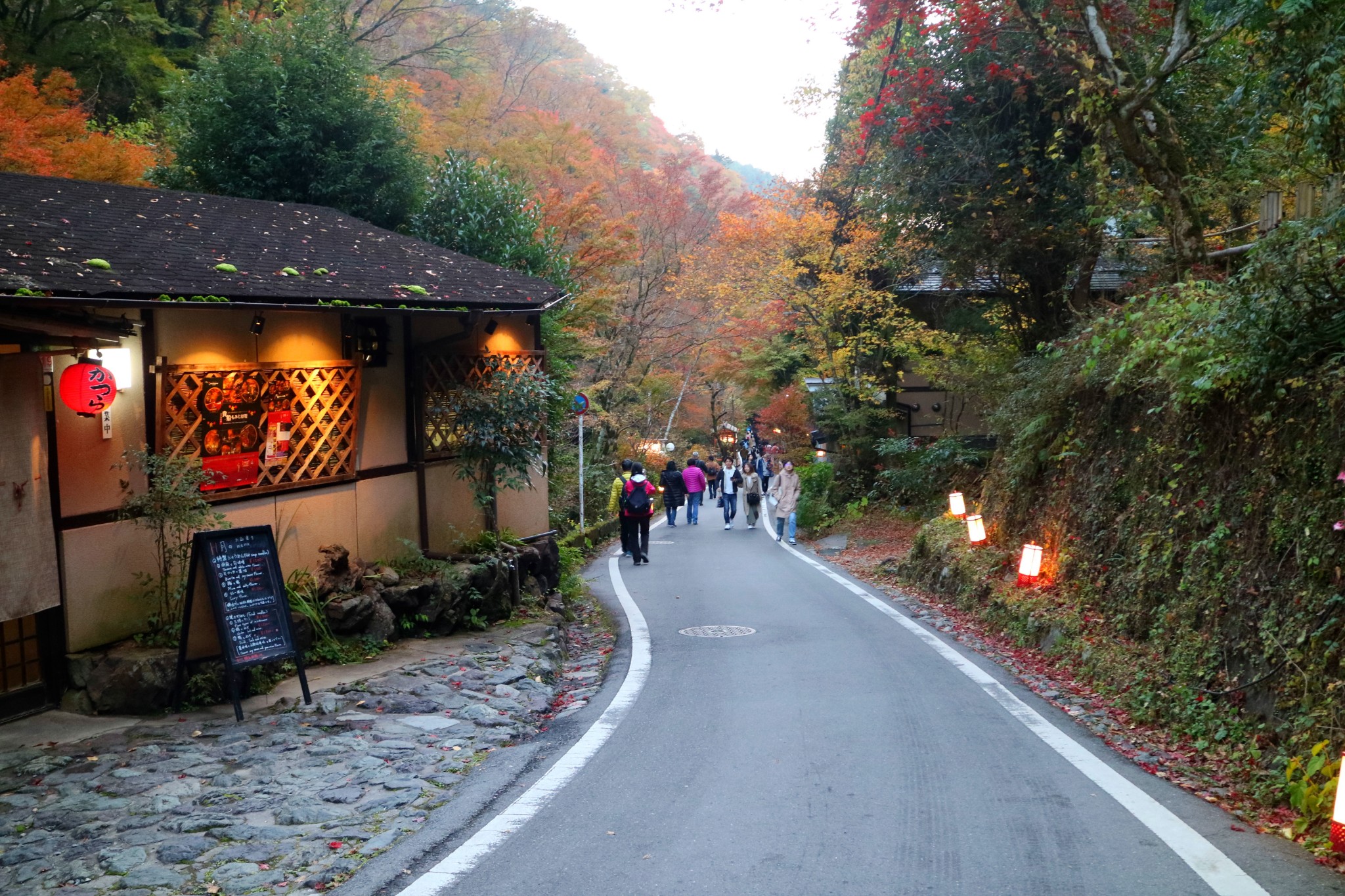 京都自助遊攻略