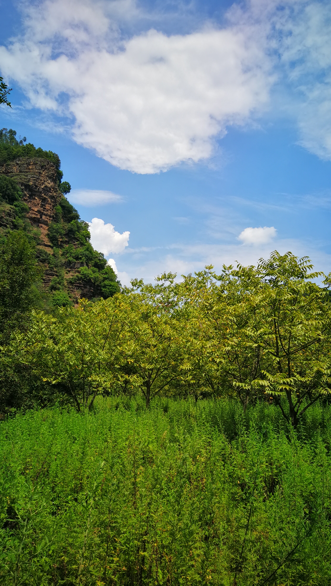 多彩的云南乡村——宜良马蹄湾村(云南自由行当地小众游)